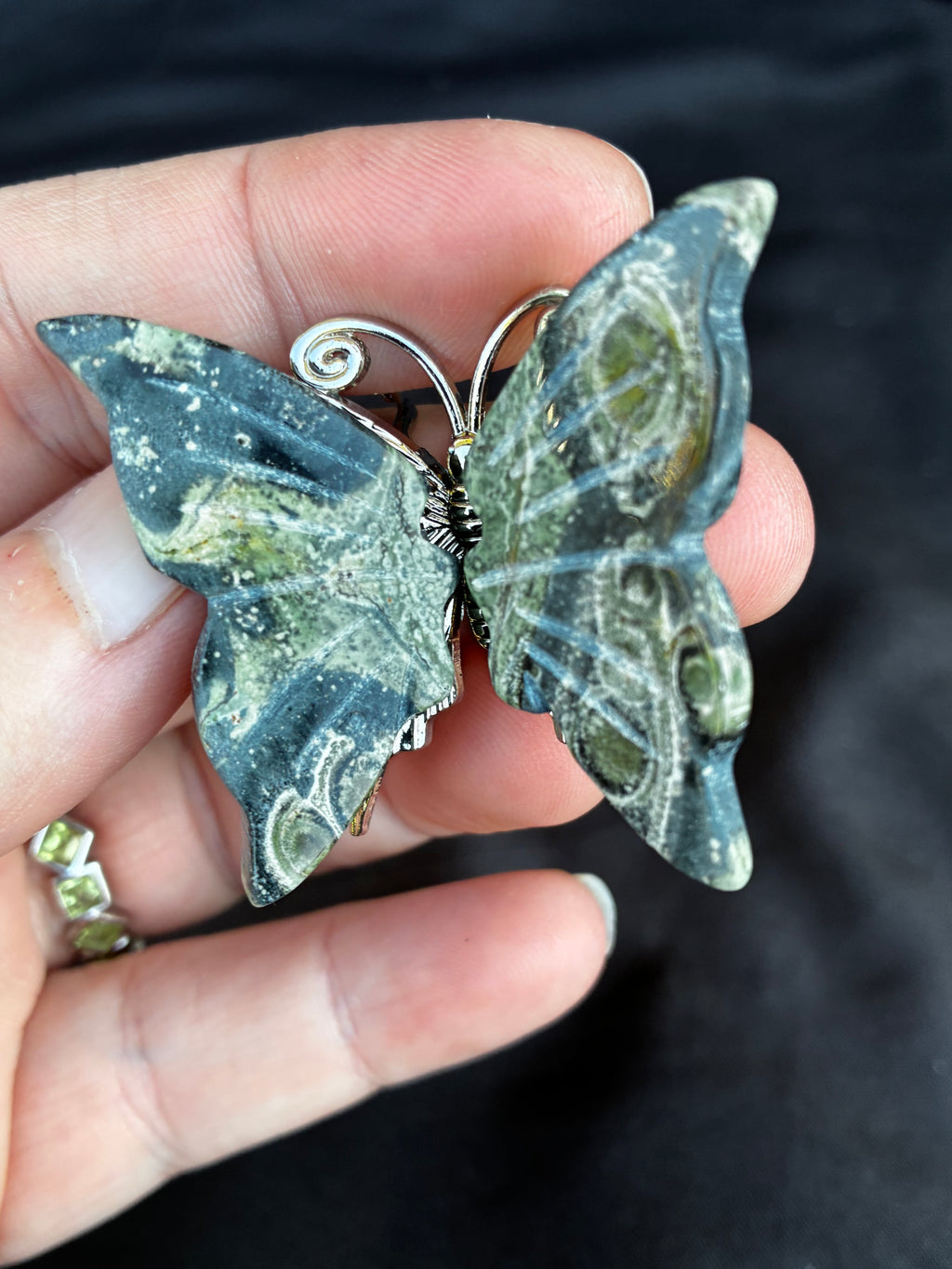 Kambaba Butterfly