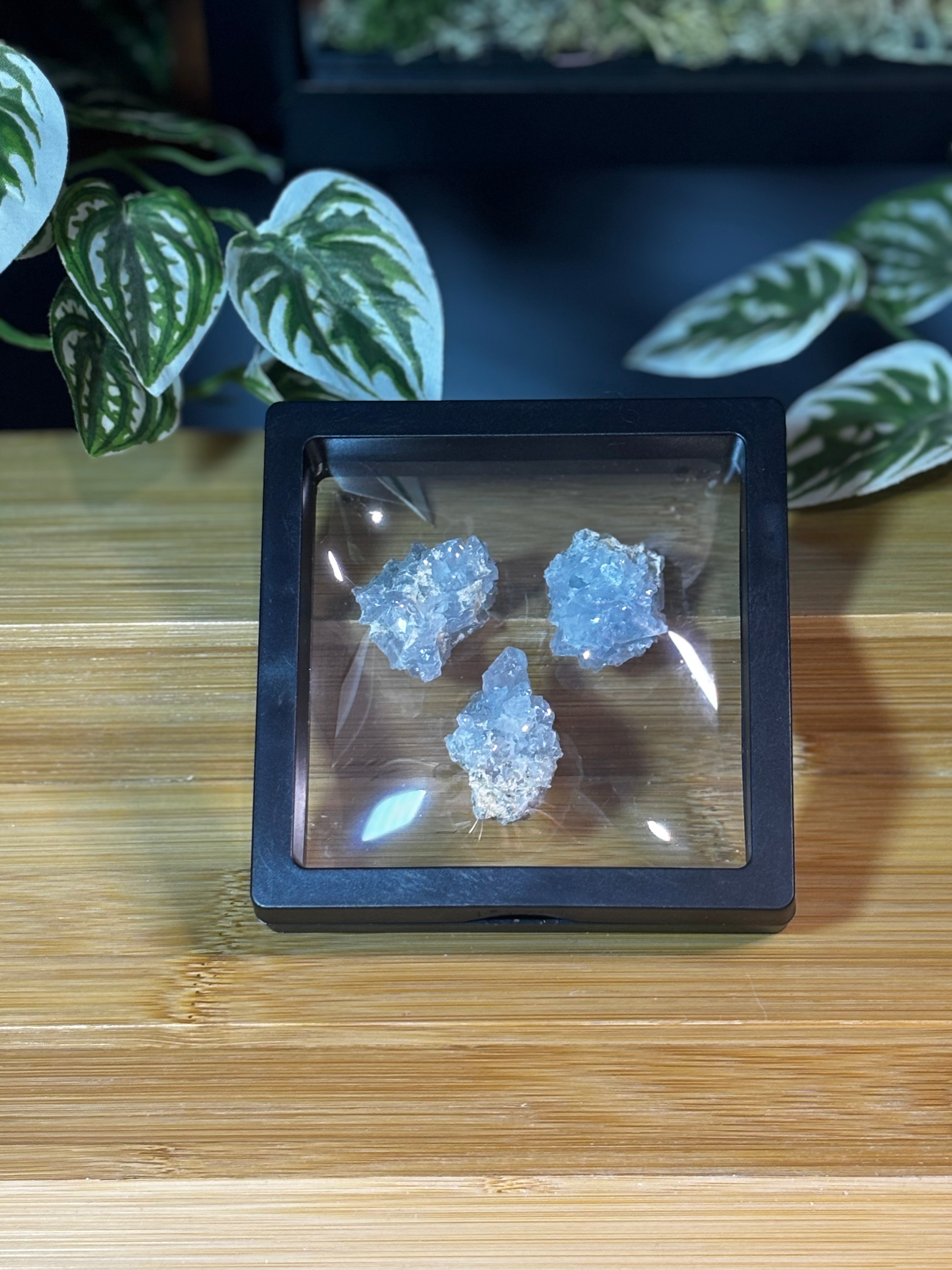 Celestite Cluster 2