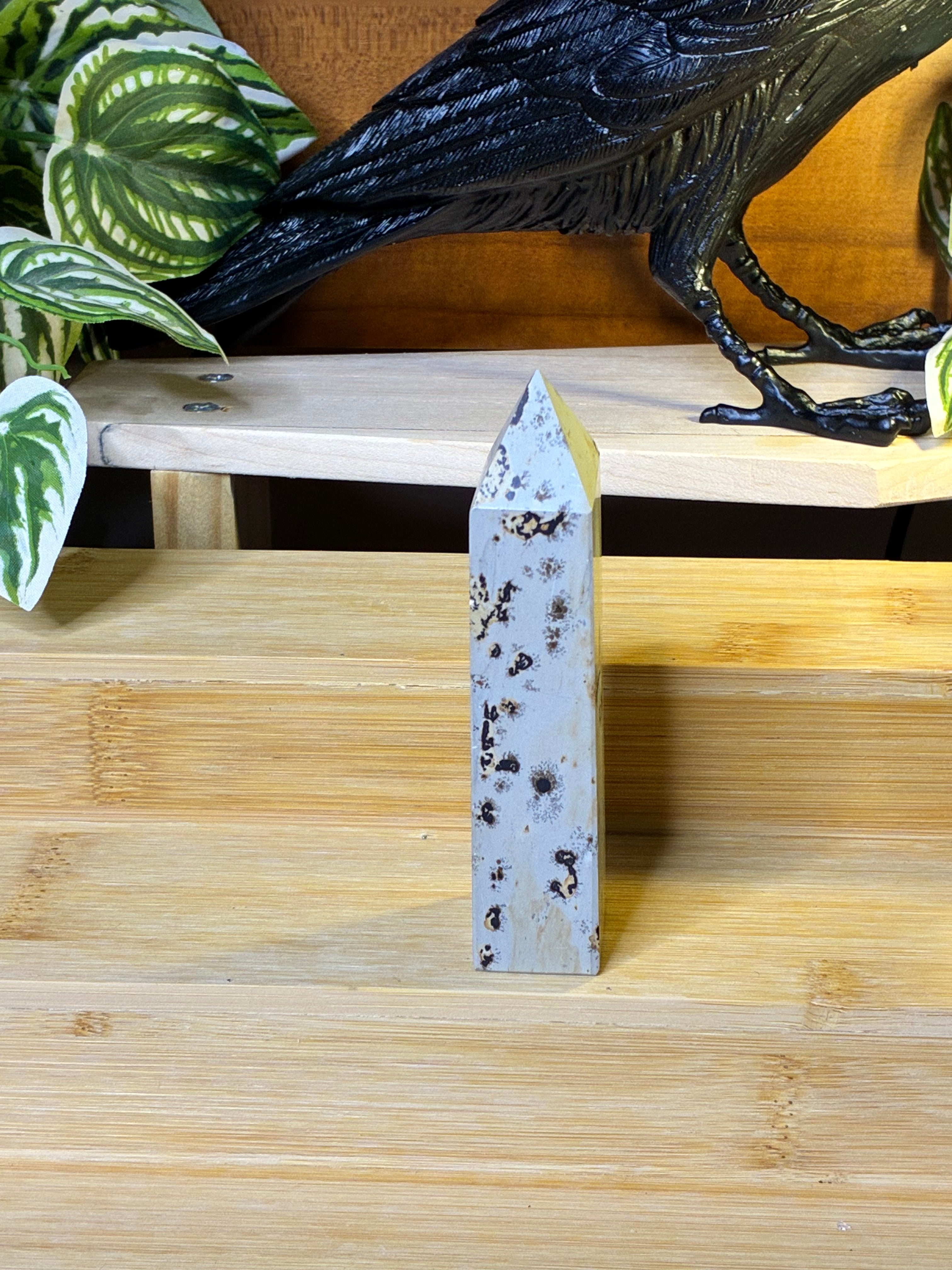 Picture Jasper Point