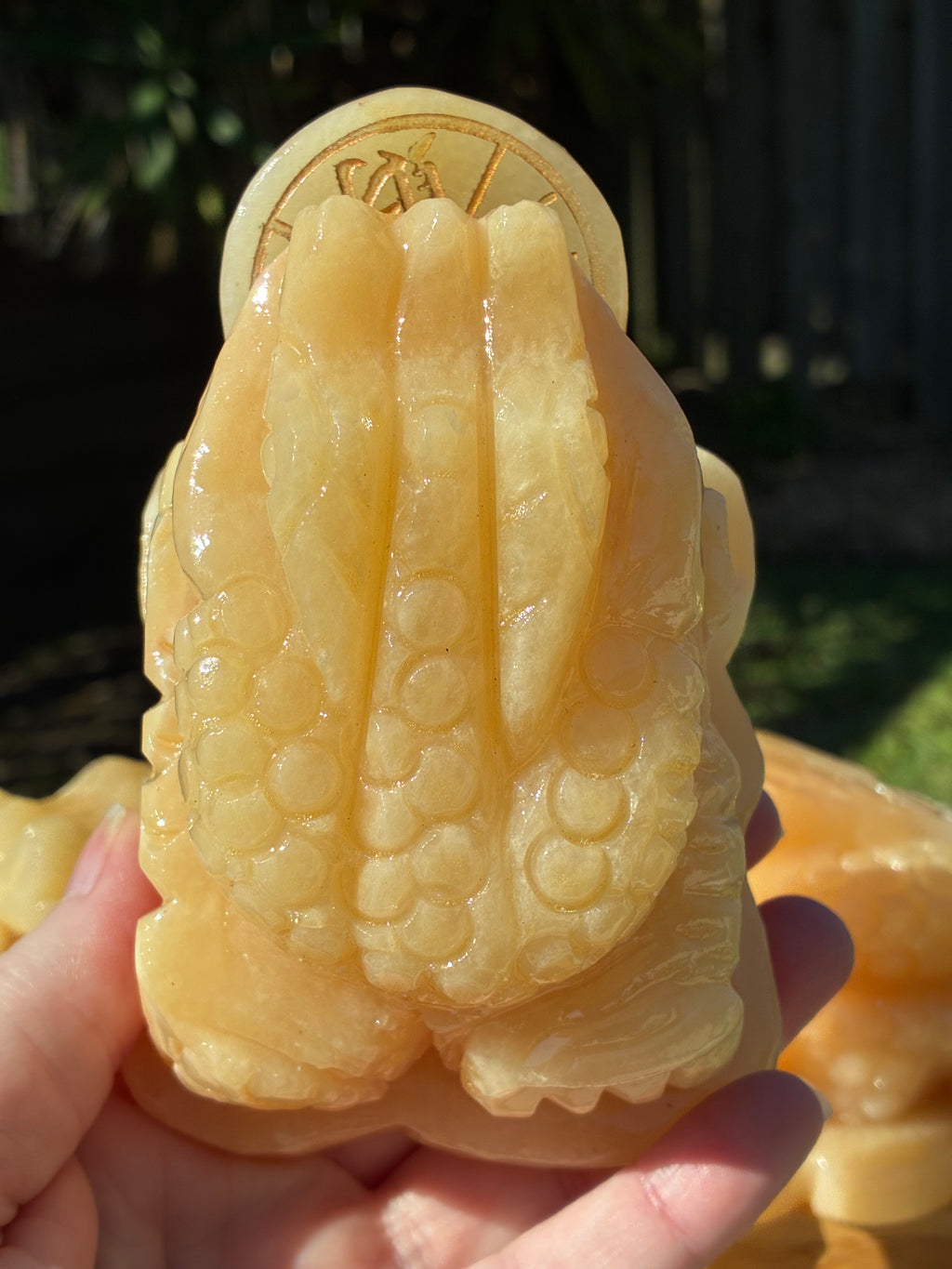 Orange Calcite Money Toad