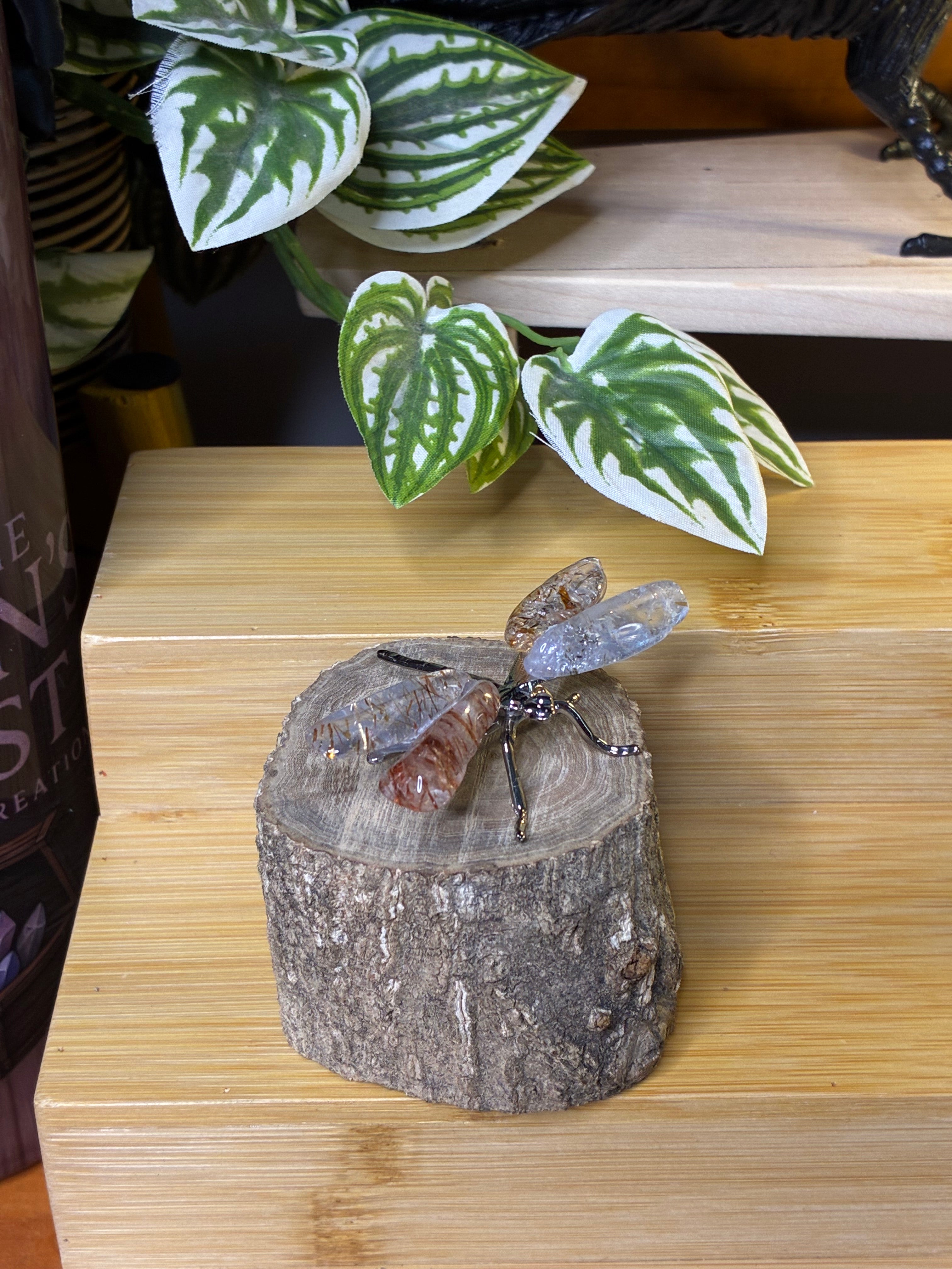 Copper Rutile Dragonfly 3