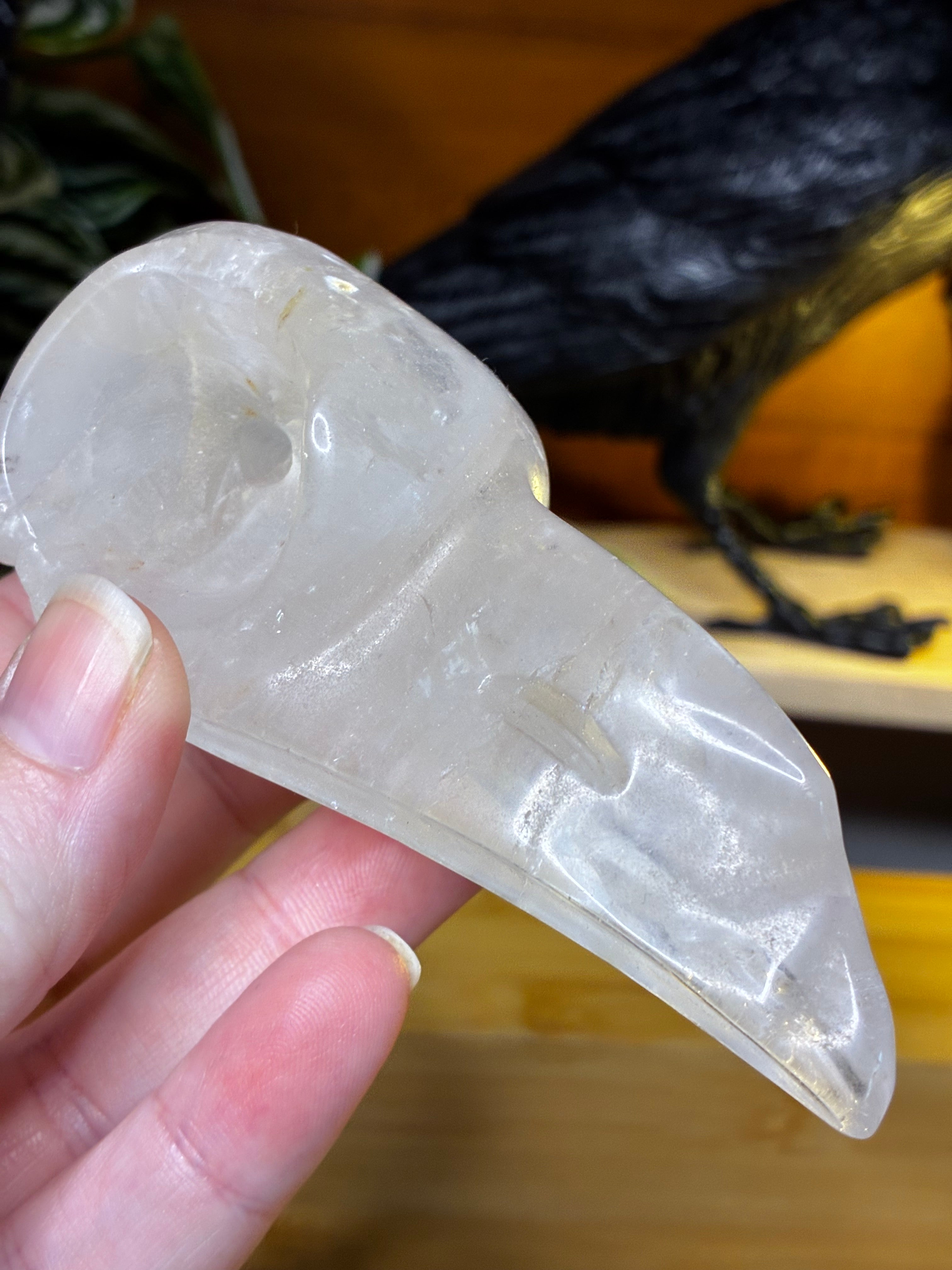 Clear Quartz Raven Skull