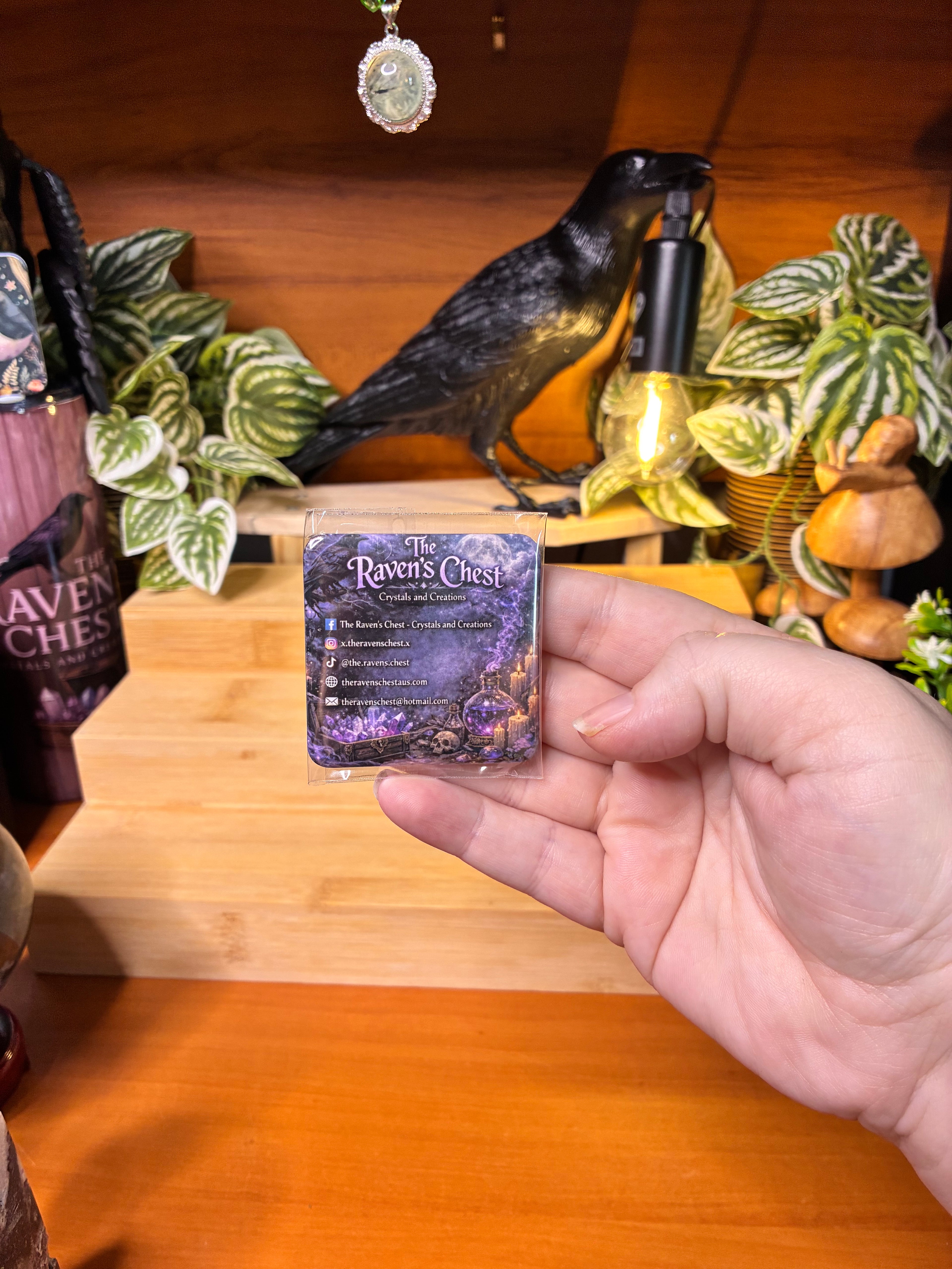 The Raven’s Chest Socials Magnet