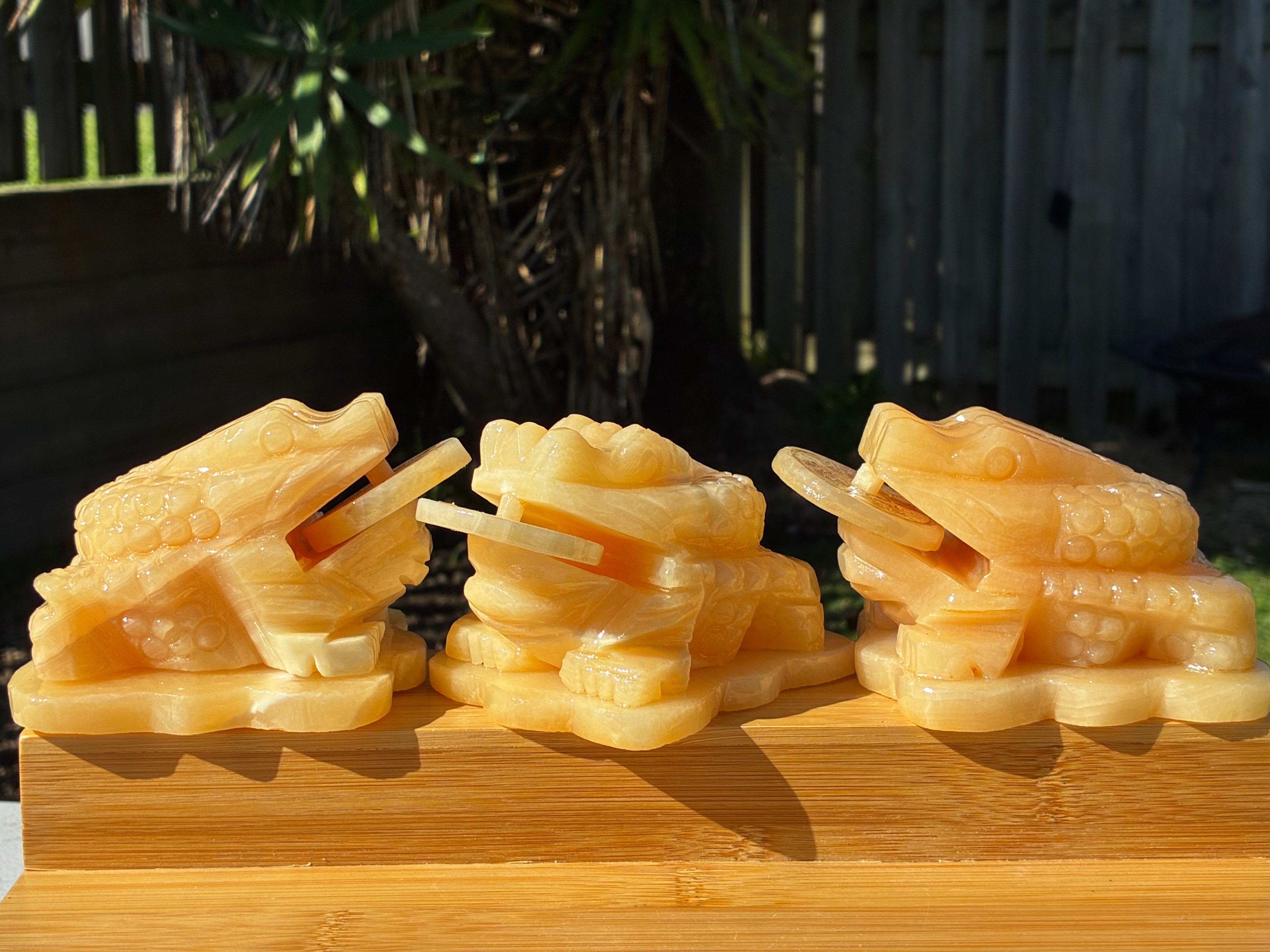 Orange Calcite Money Toad