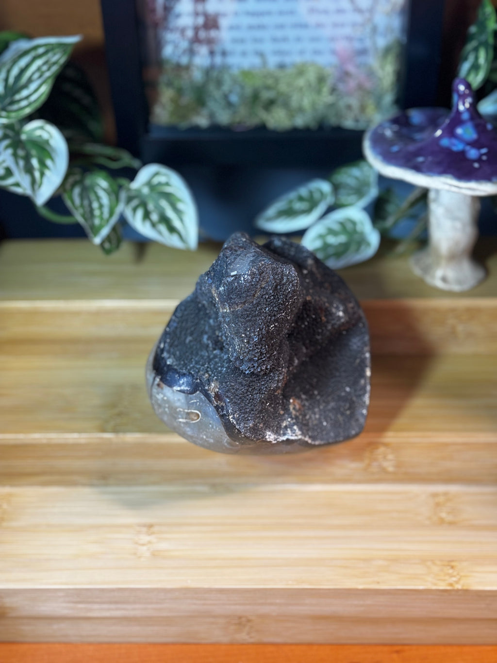 Septarian Freeform