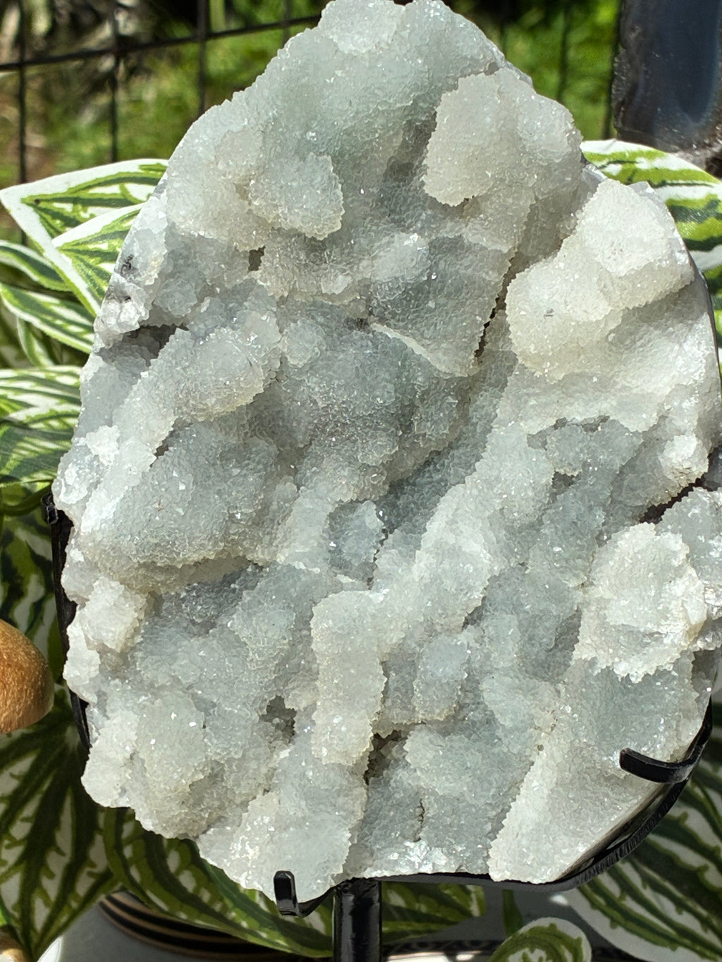 Apophyllite Specimen w/Stand