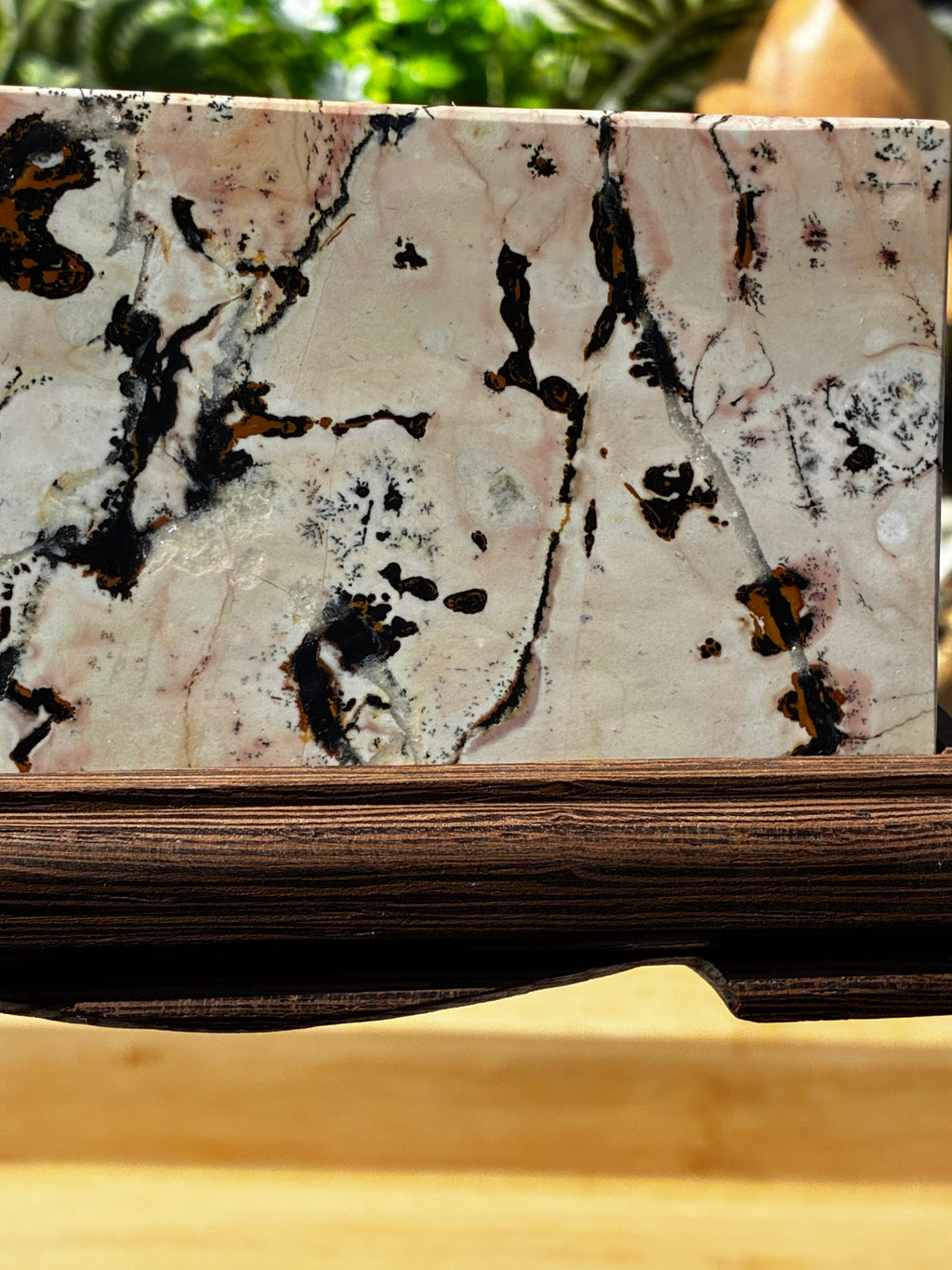 Picture Jasper Slab on Stand