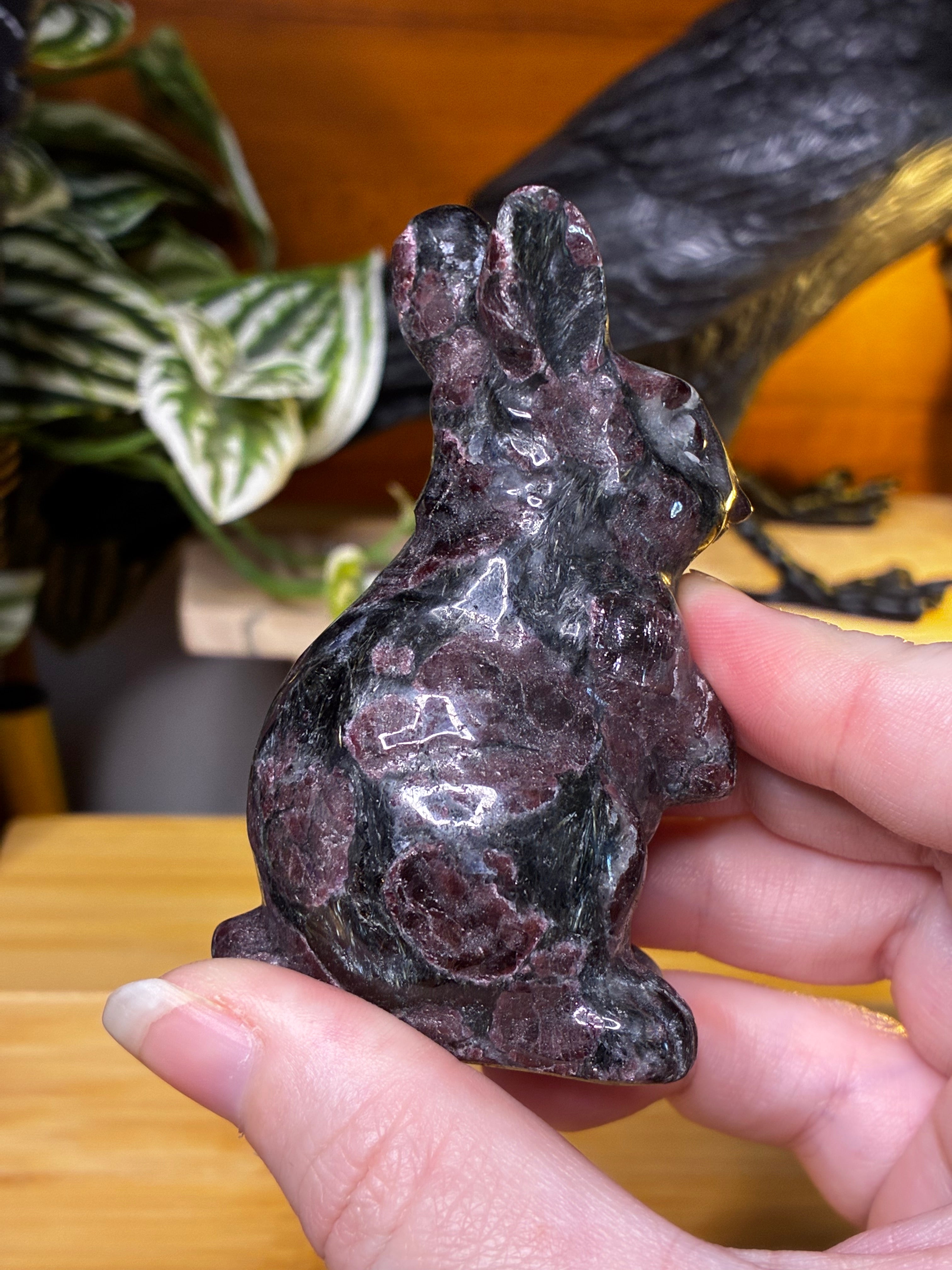 Garnet Bunny