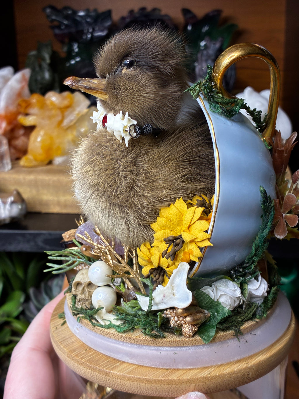 The Forager of Forgotten Things