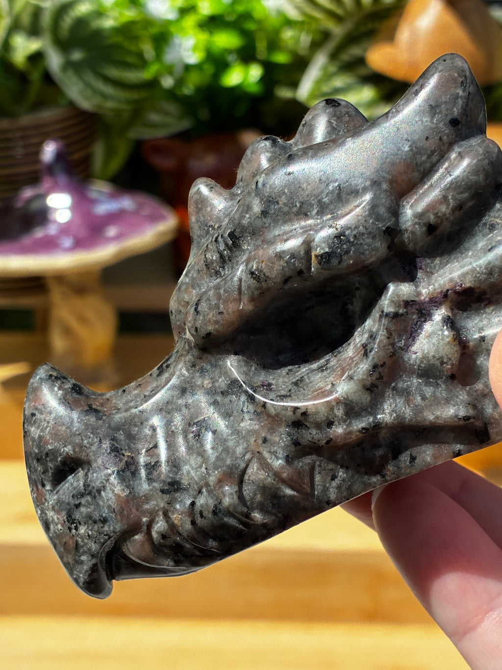 Yooperlite Dragon Head