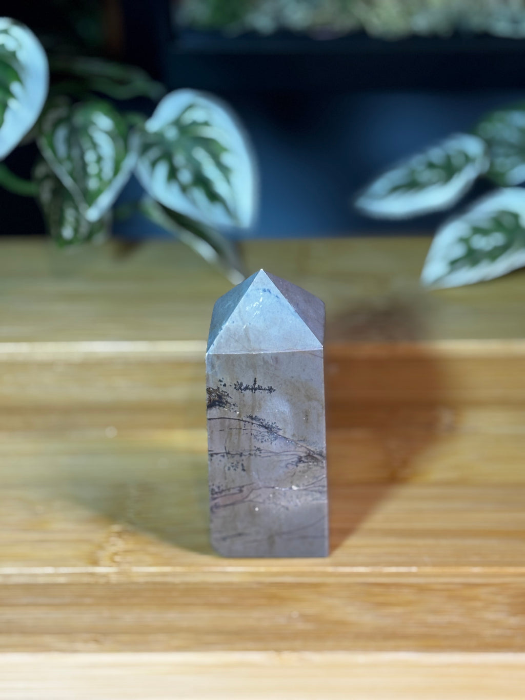 Picture Jasper Point 2