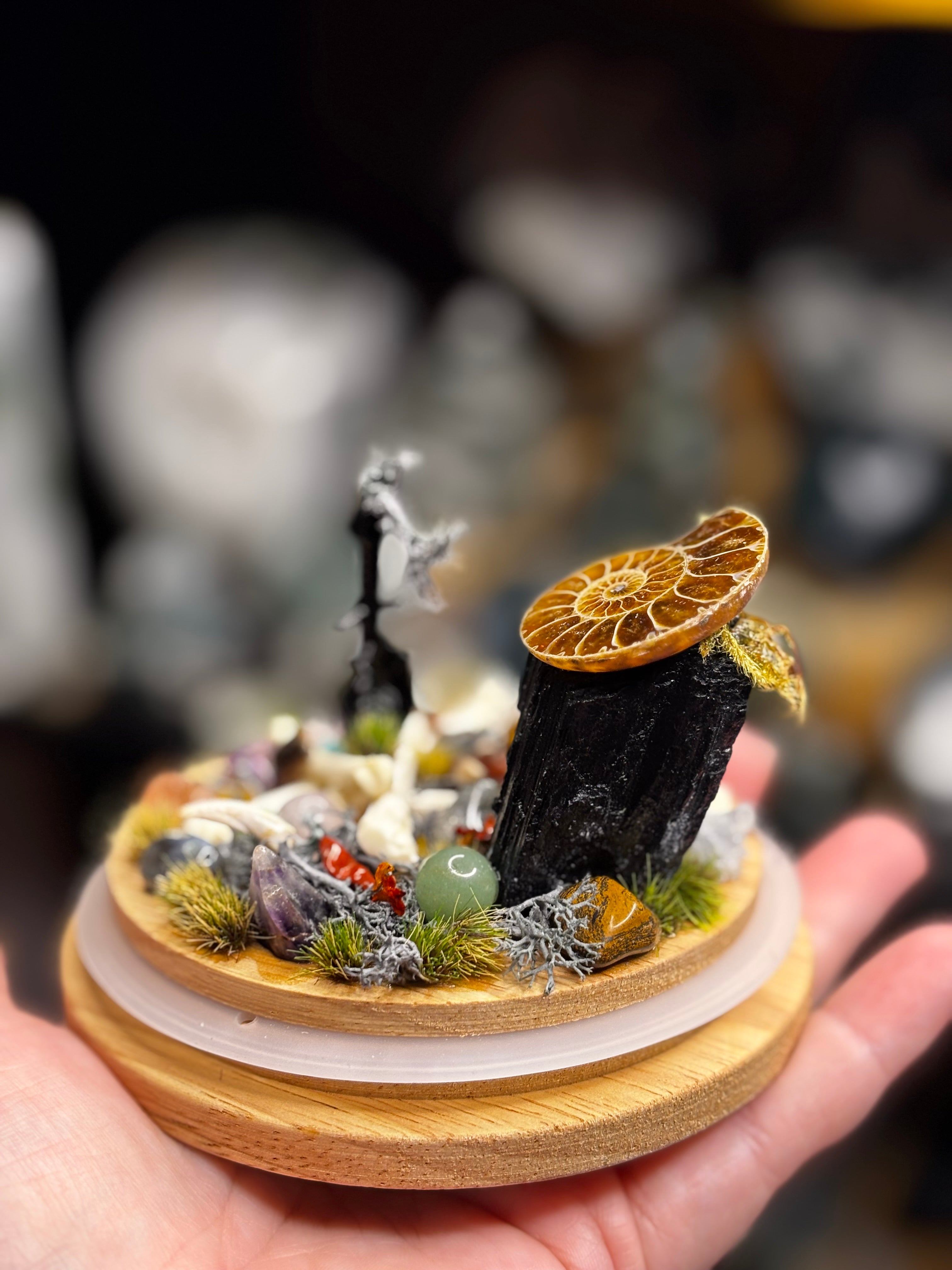 Ancient Debris Curio Dome