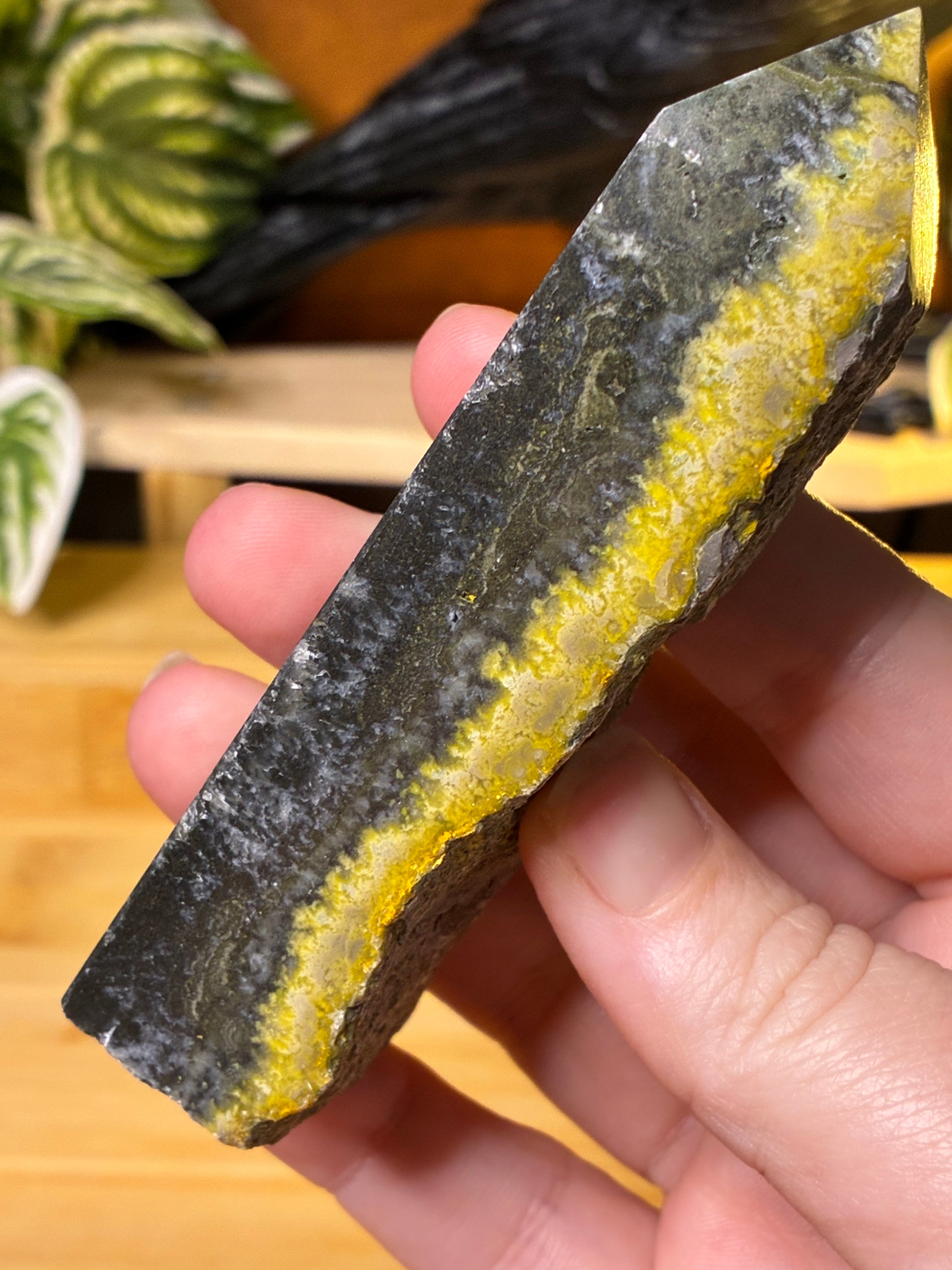 Bumblebee Jasper Point