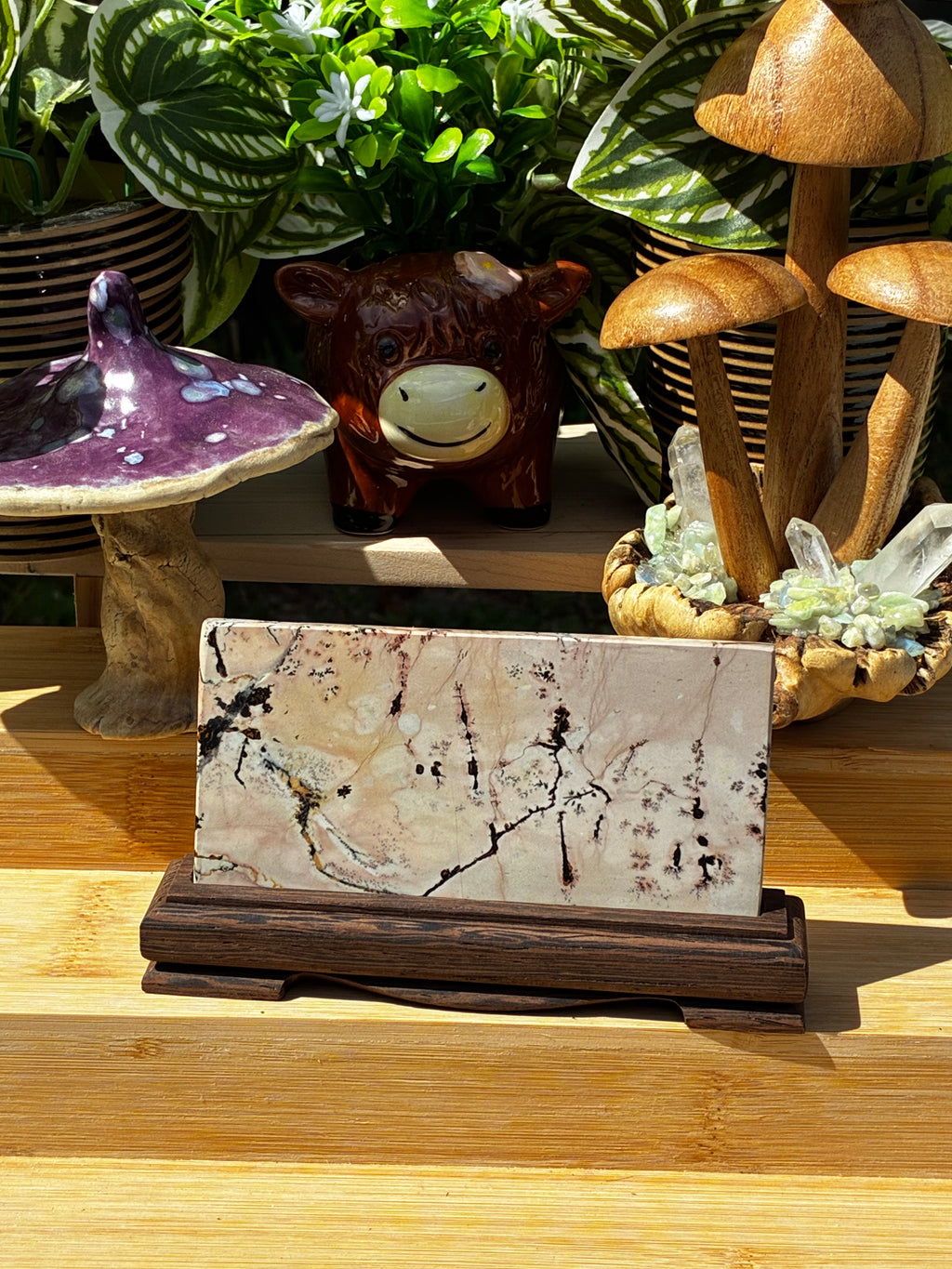 Picture Jasper Slab on Stand