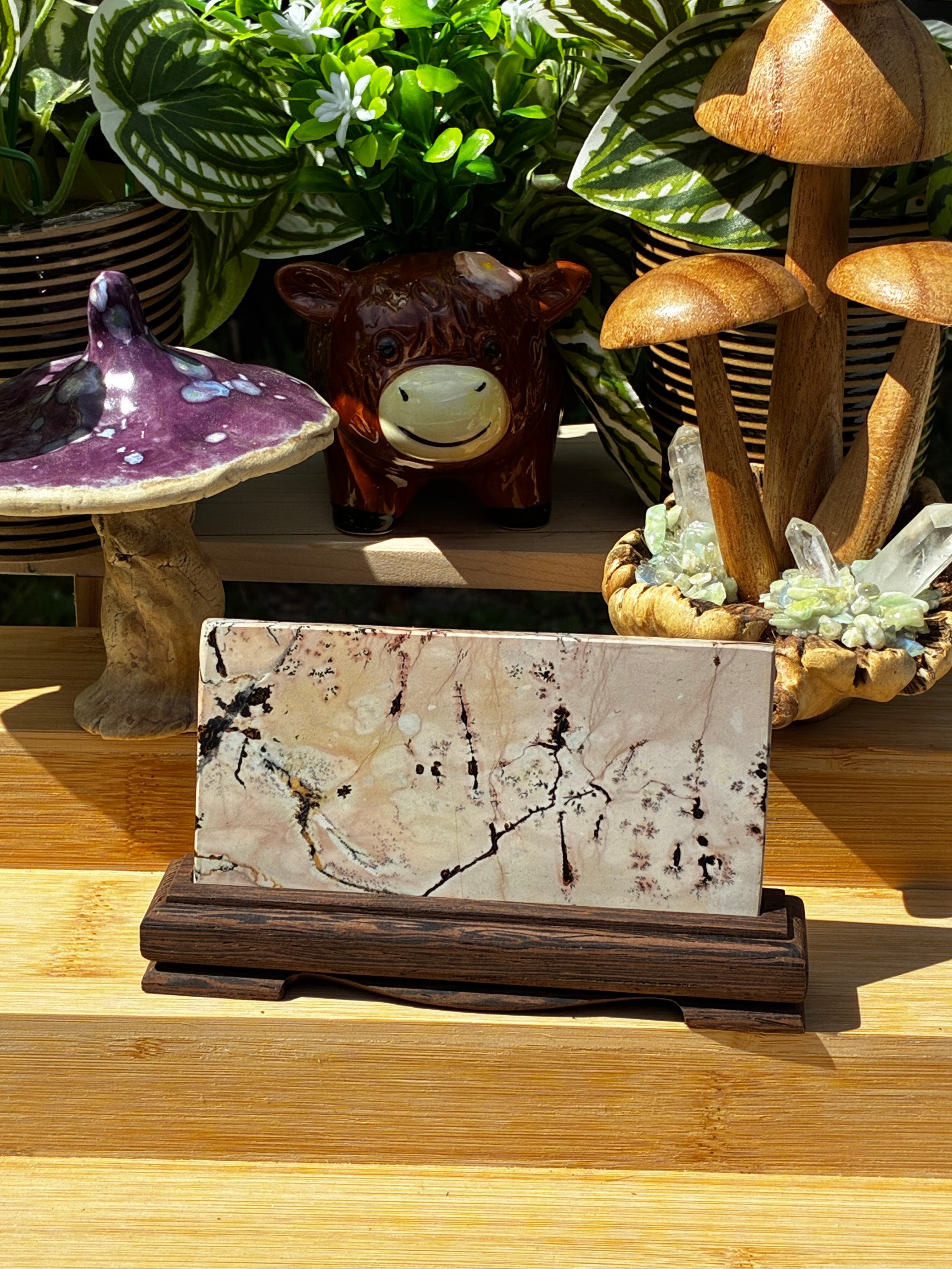 Picture Jasper Slab on Stand