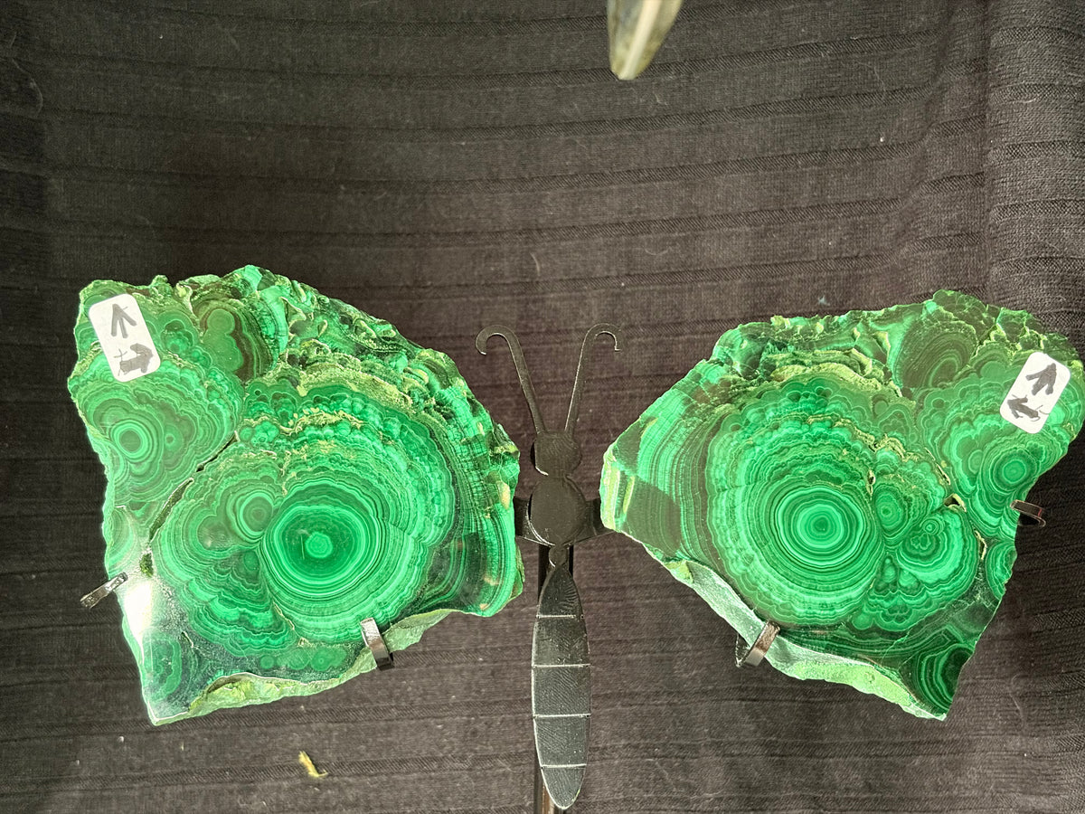 Custom Malachite Butterfly Wings on Stand