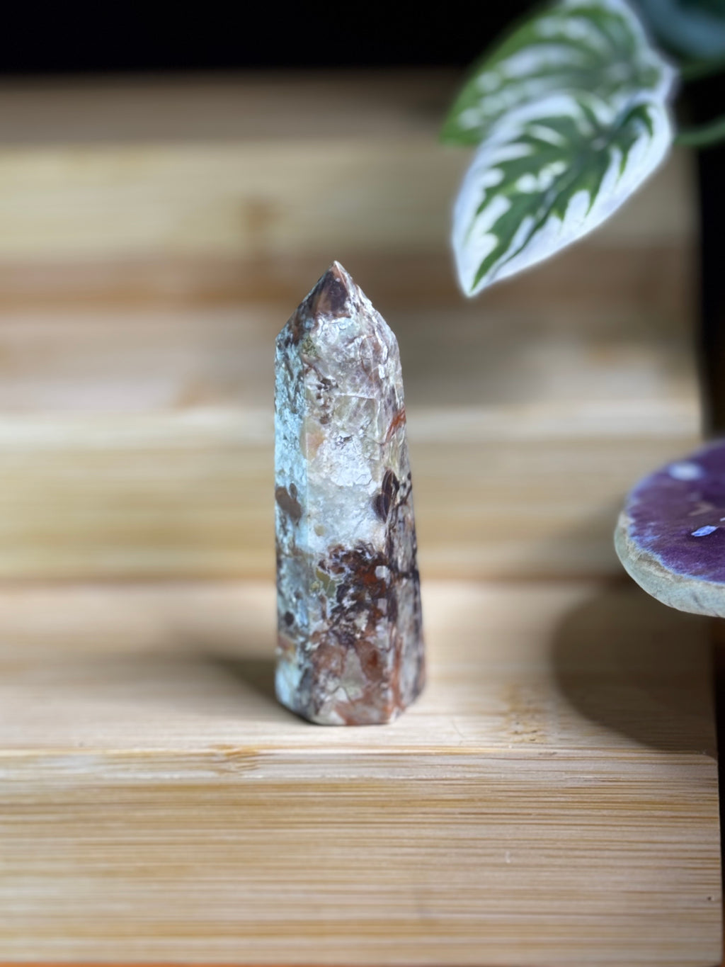 Money Agate Point 2
