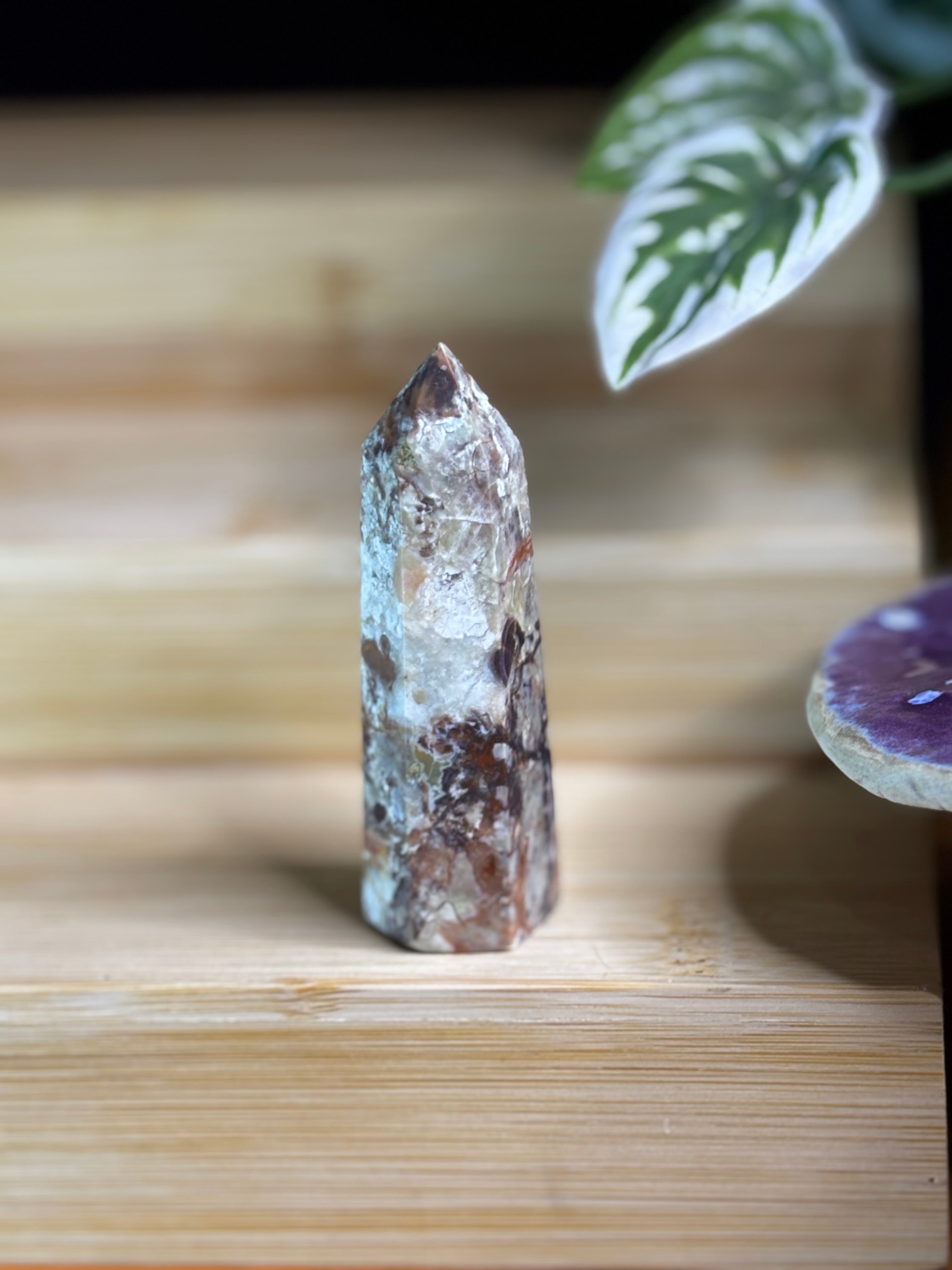 Money Agate Point 2