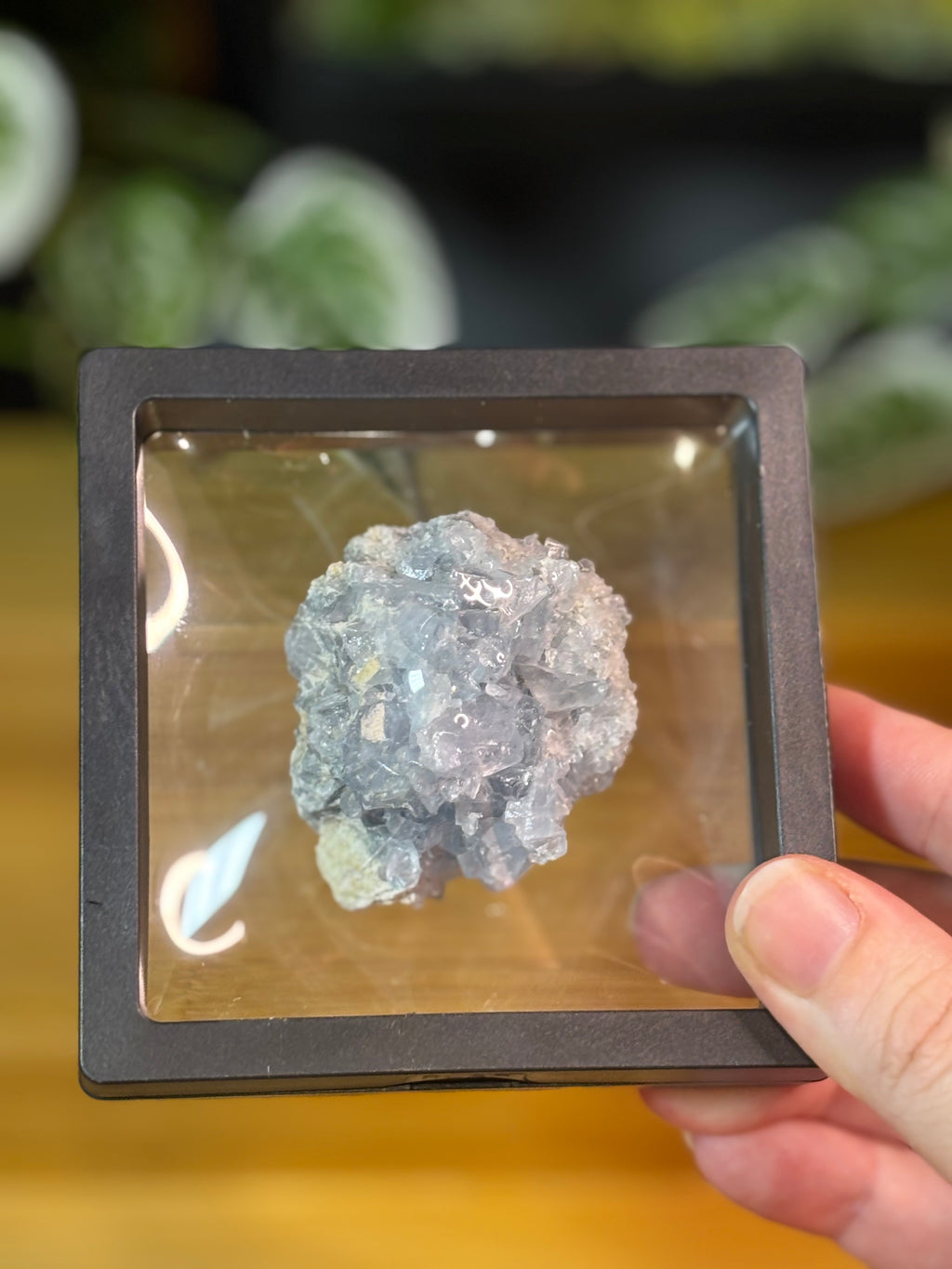 Celestite Cluster 1