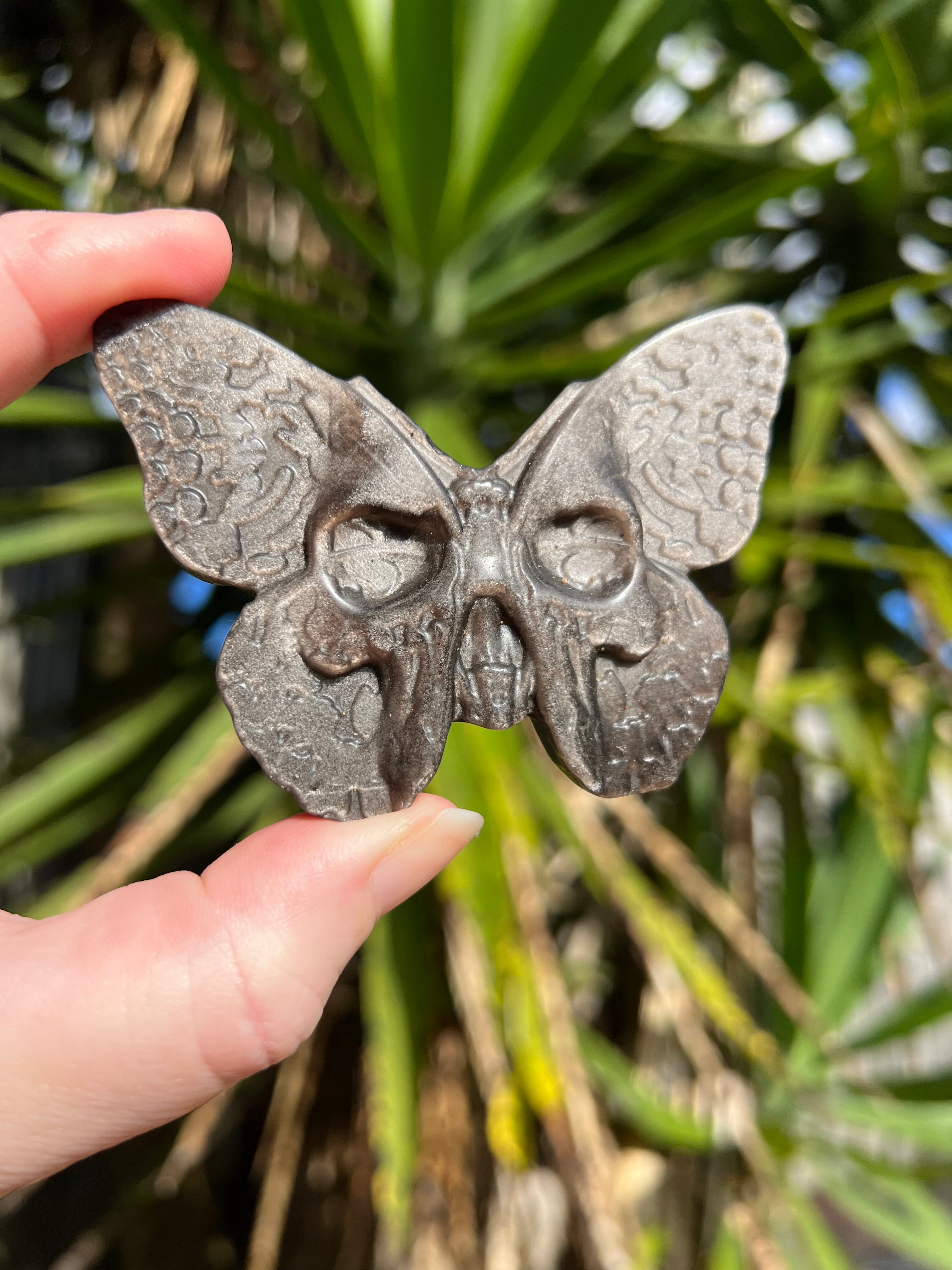 Silver Sheen Obsidian Death Head Moth 2