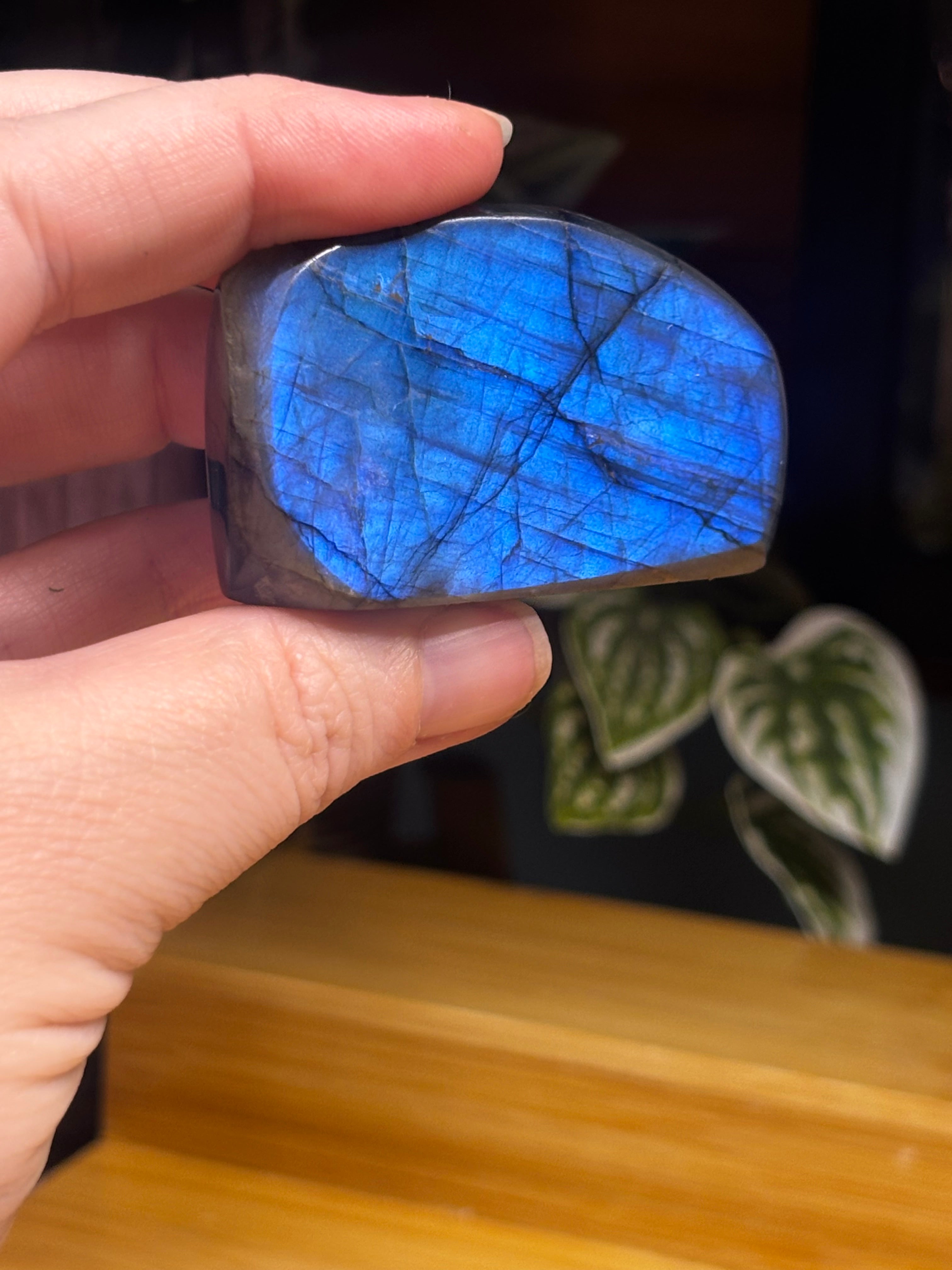 Labradorite Free Form Small