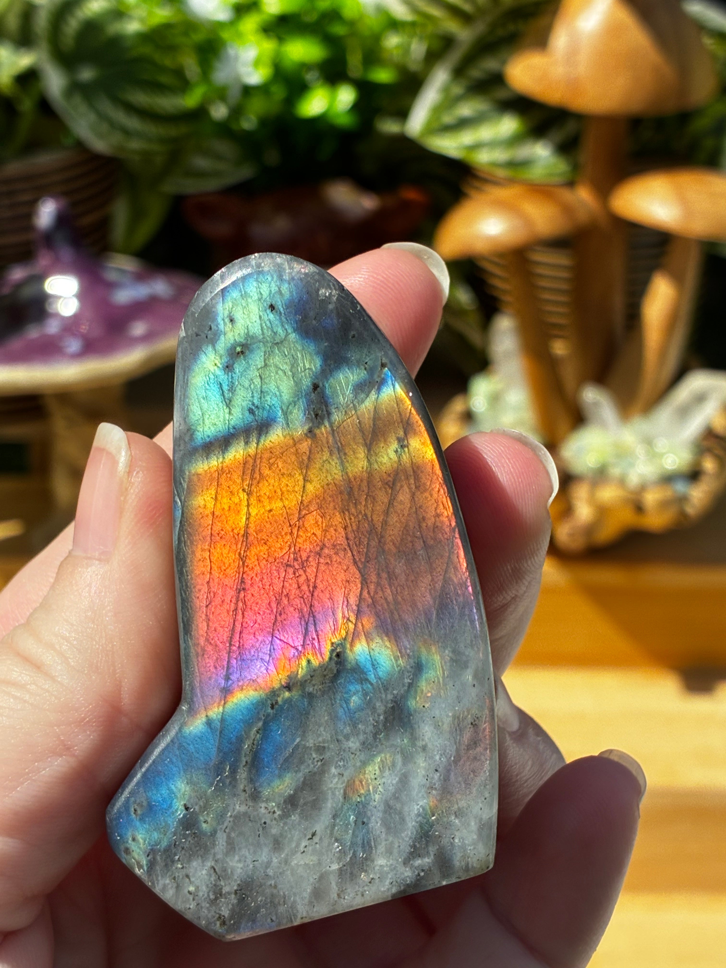 Labradorite Unique Freeform