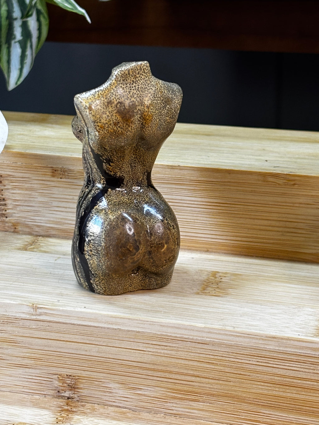 Picture Jasper Goddess Body