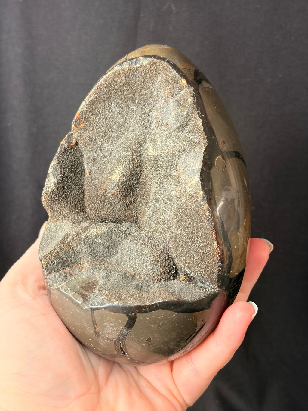 Septarian Dragon Egg