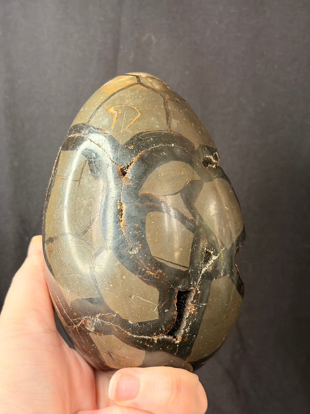 Septarian Dragon Egg
