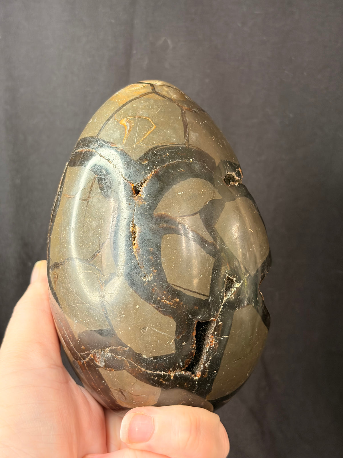 Septarian Dragon Egg