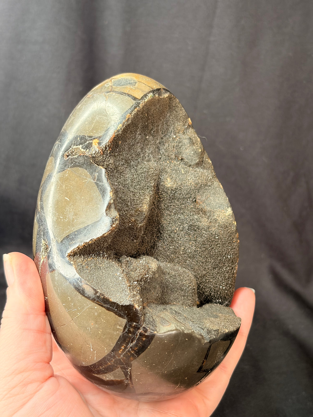 Septarian Dragon Egg