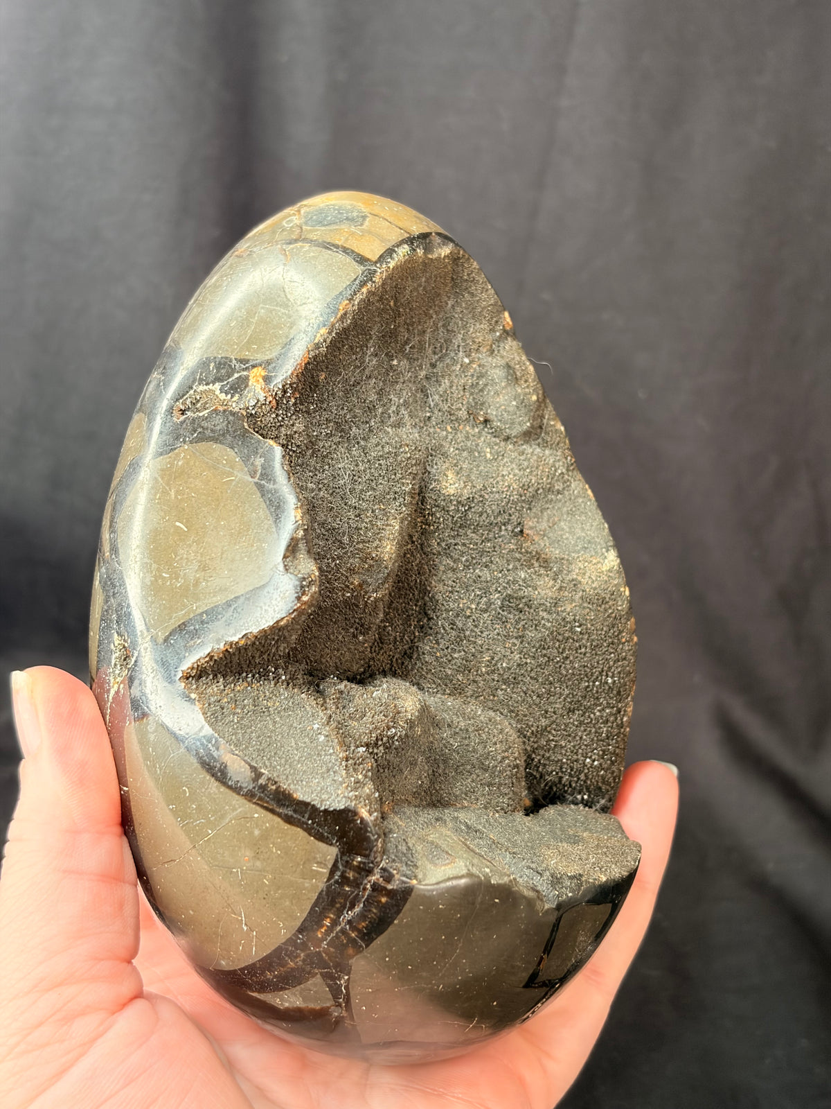Septarian Dragon Egg