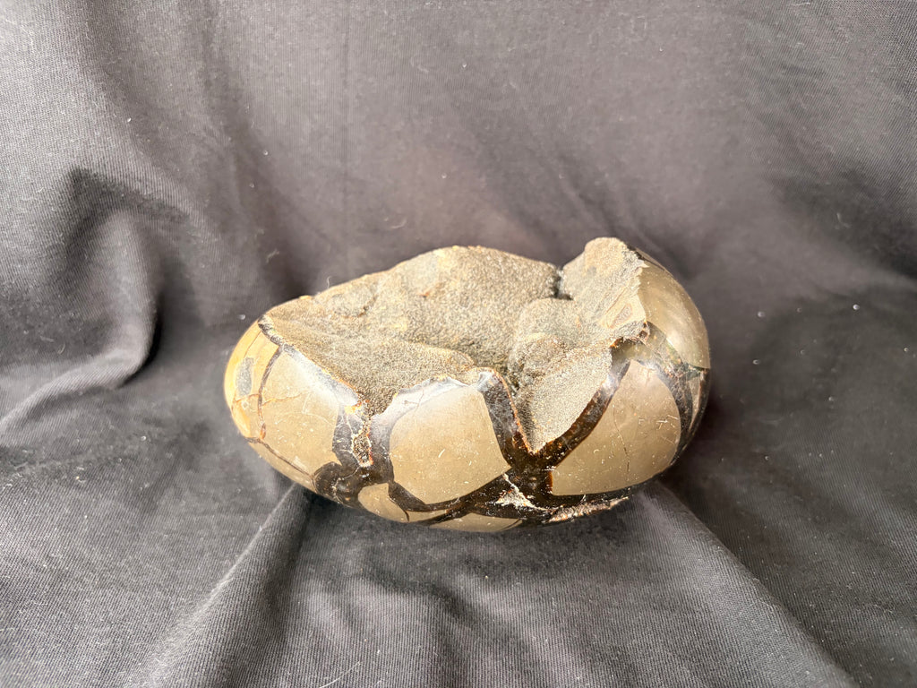 Septarian Dragon Egg