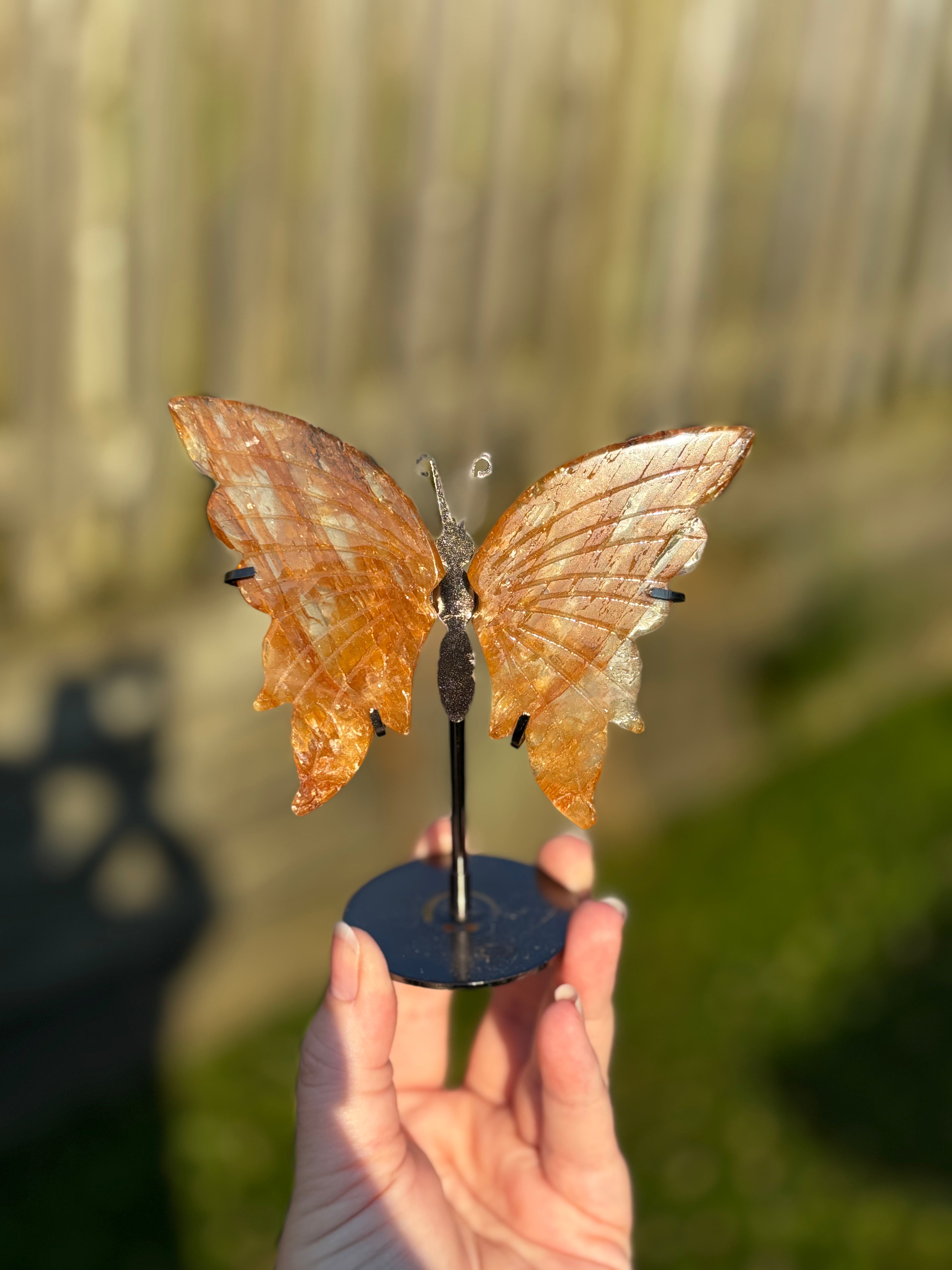 Golden Healer Butterfly Wings