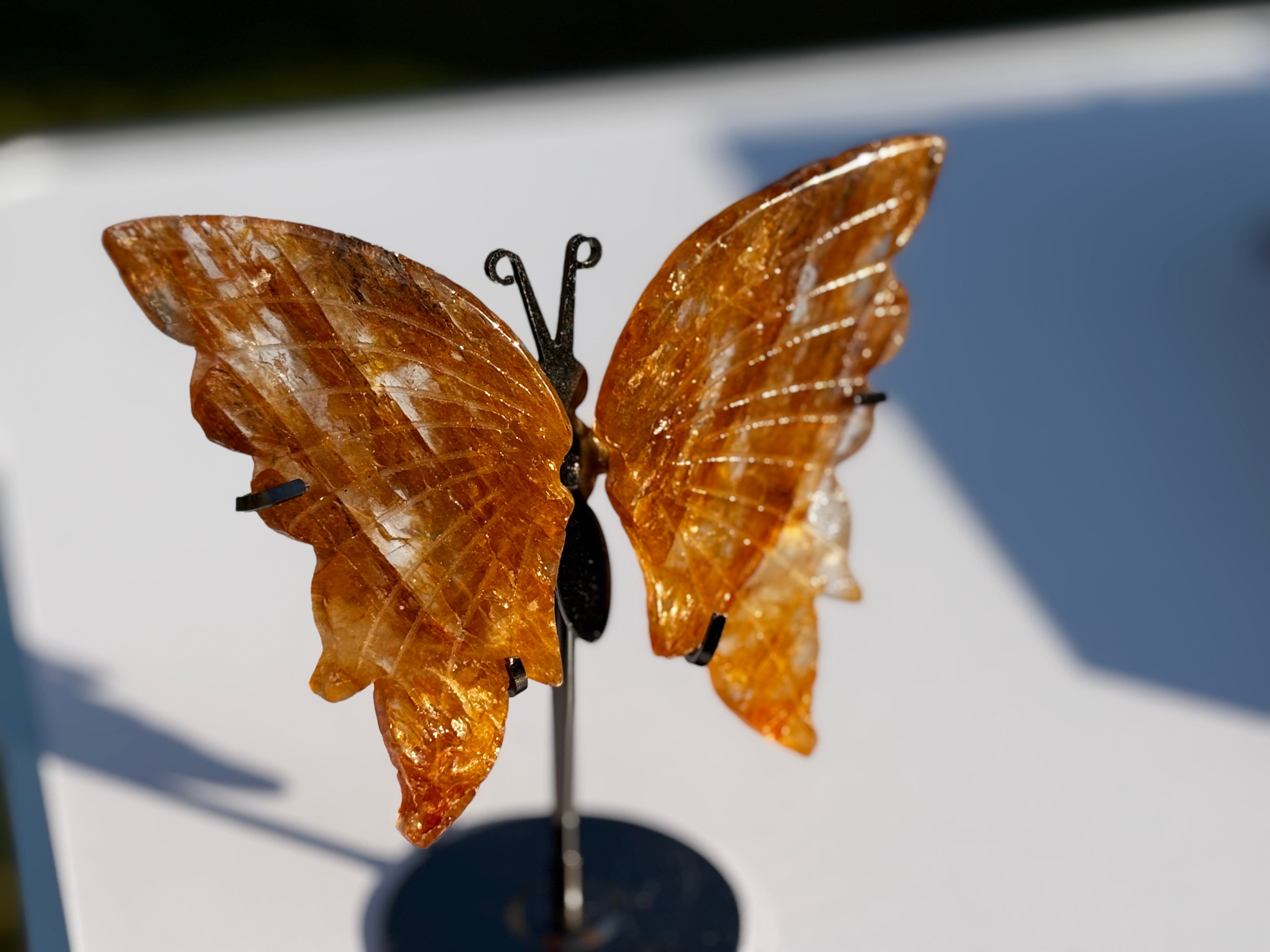 Golden Healer Butterfly Wings