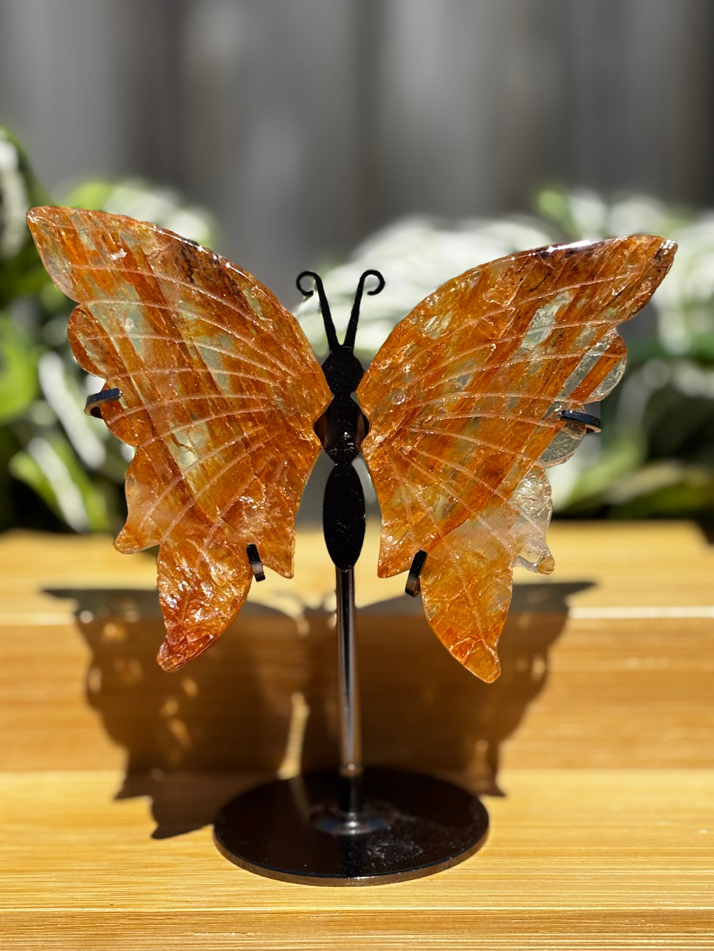 Golden Healer Butterfly Wings