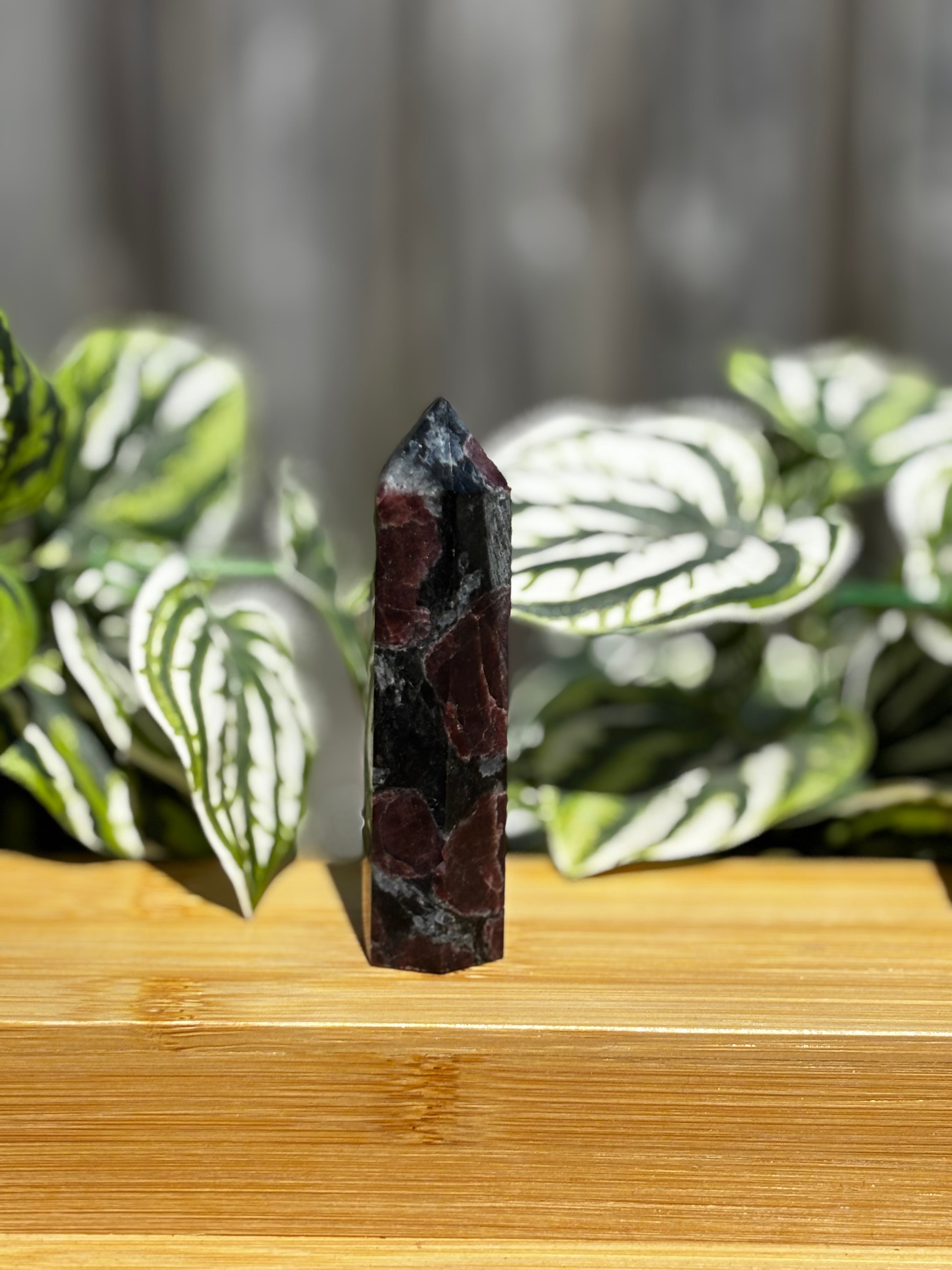 Garnet in Astrophyllite Point
