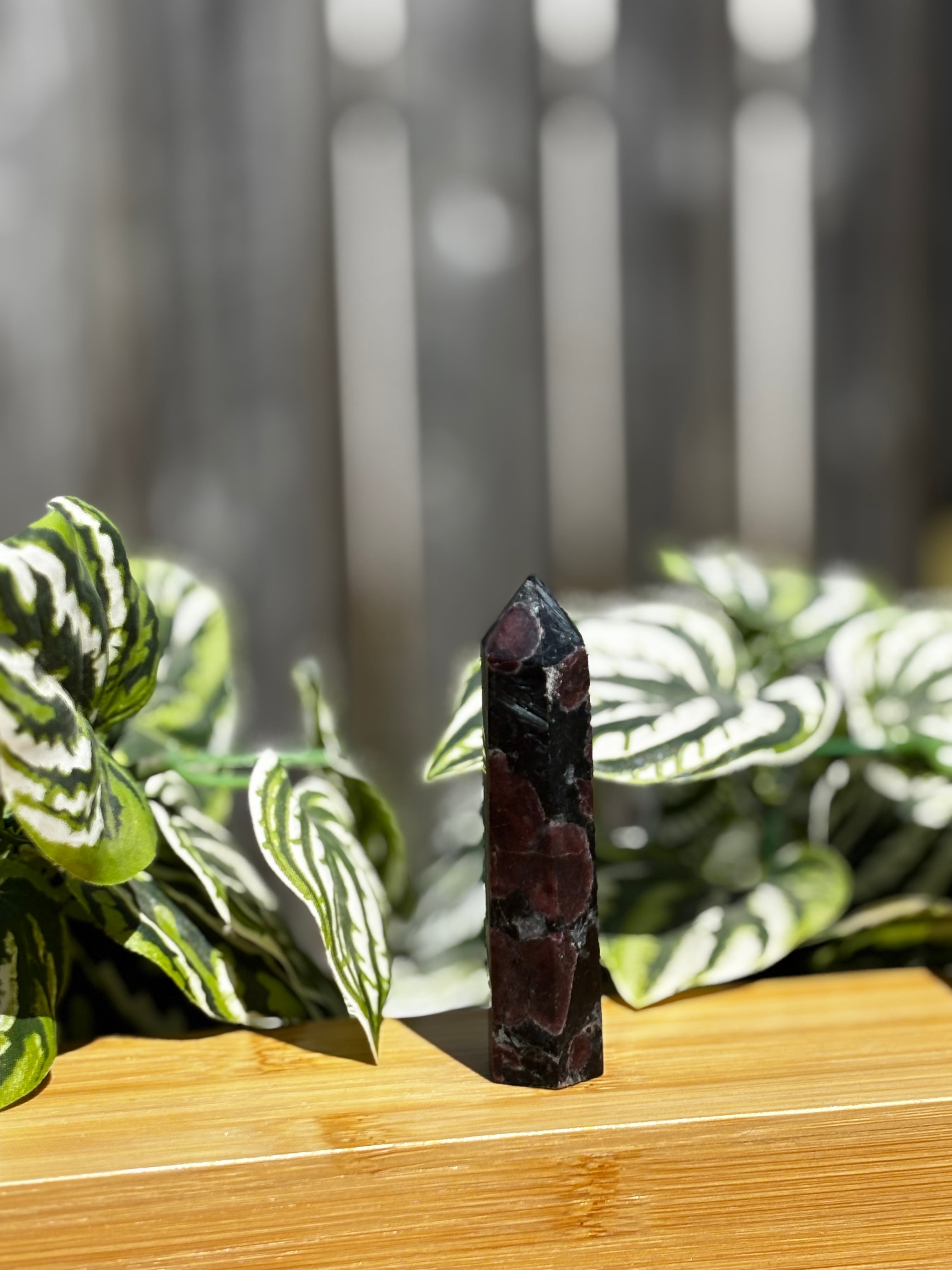 Garnet in Astrophyllite Point