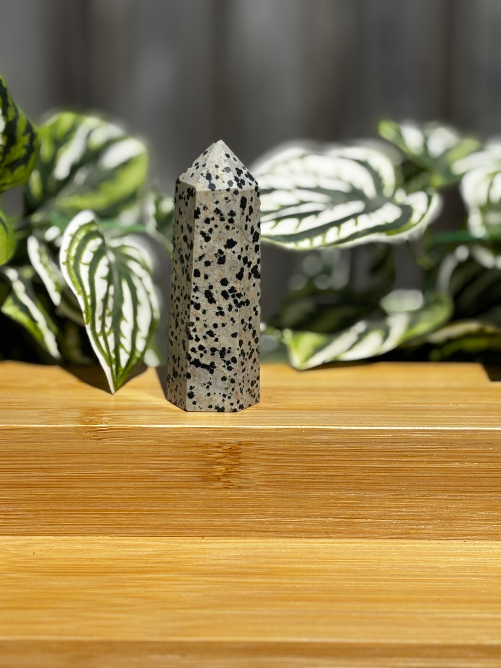 Dalmatian Jasper Point