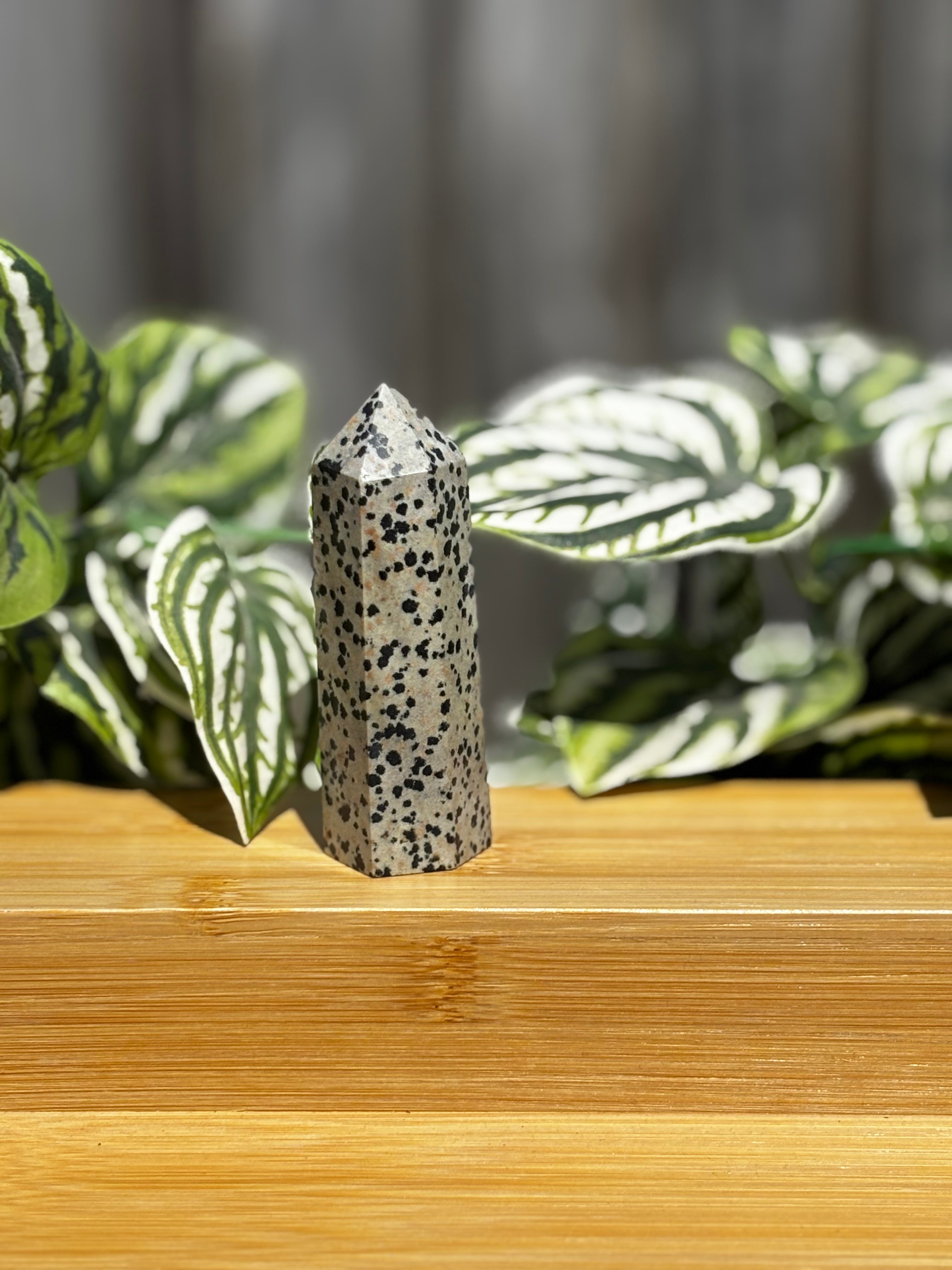 Dalmatian Jasper Point