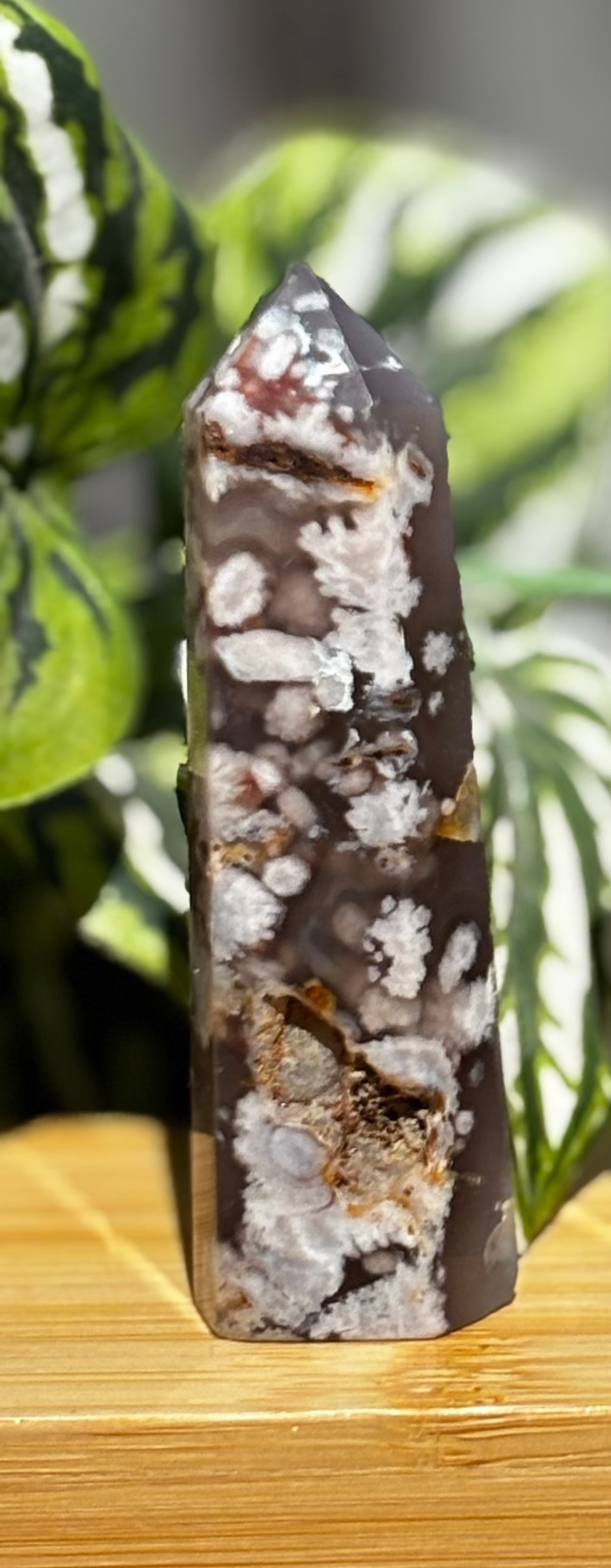 Flower Agate Point with Natural Druzy