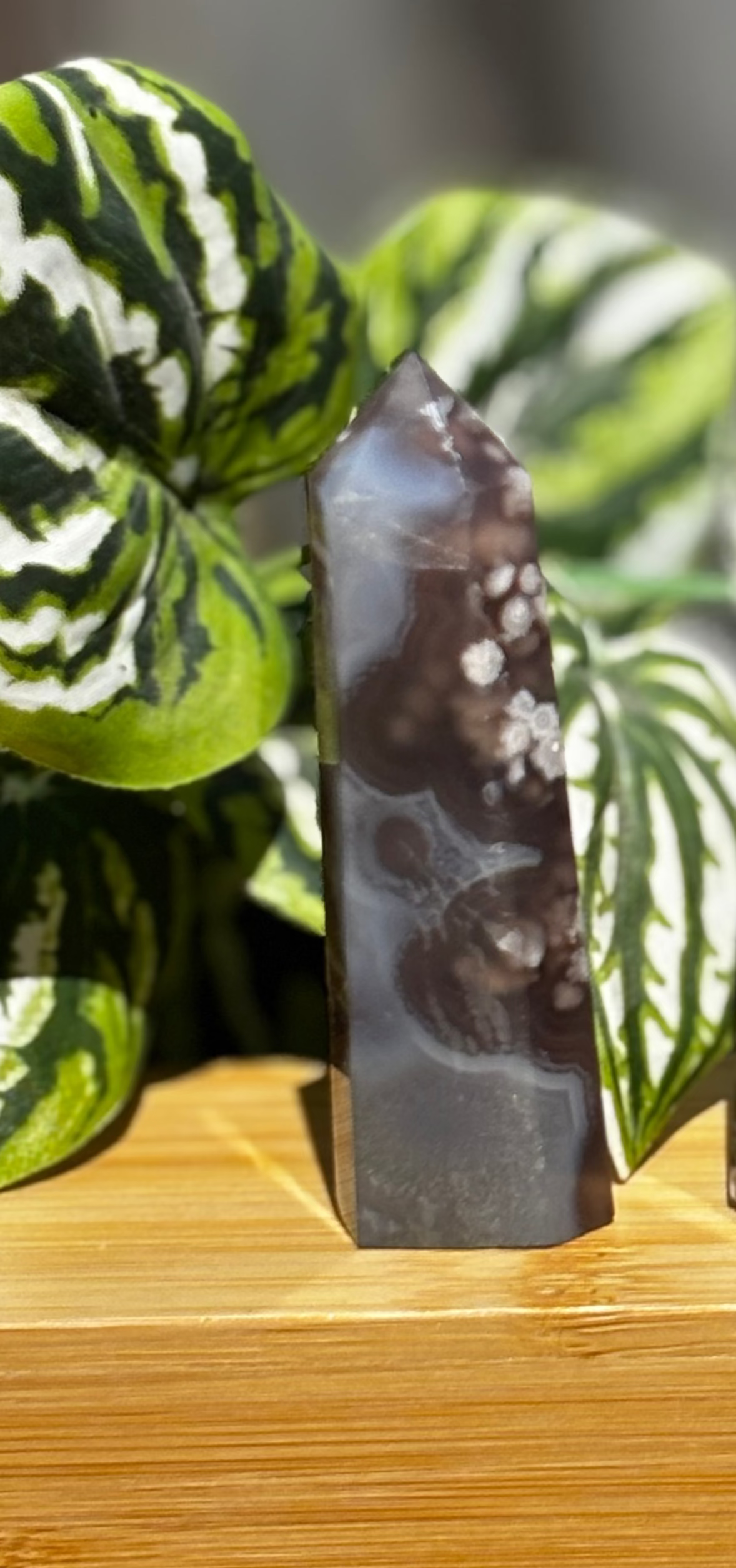 Flower Agate Point with Natural Druzy