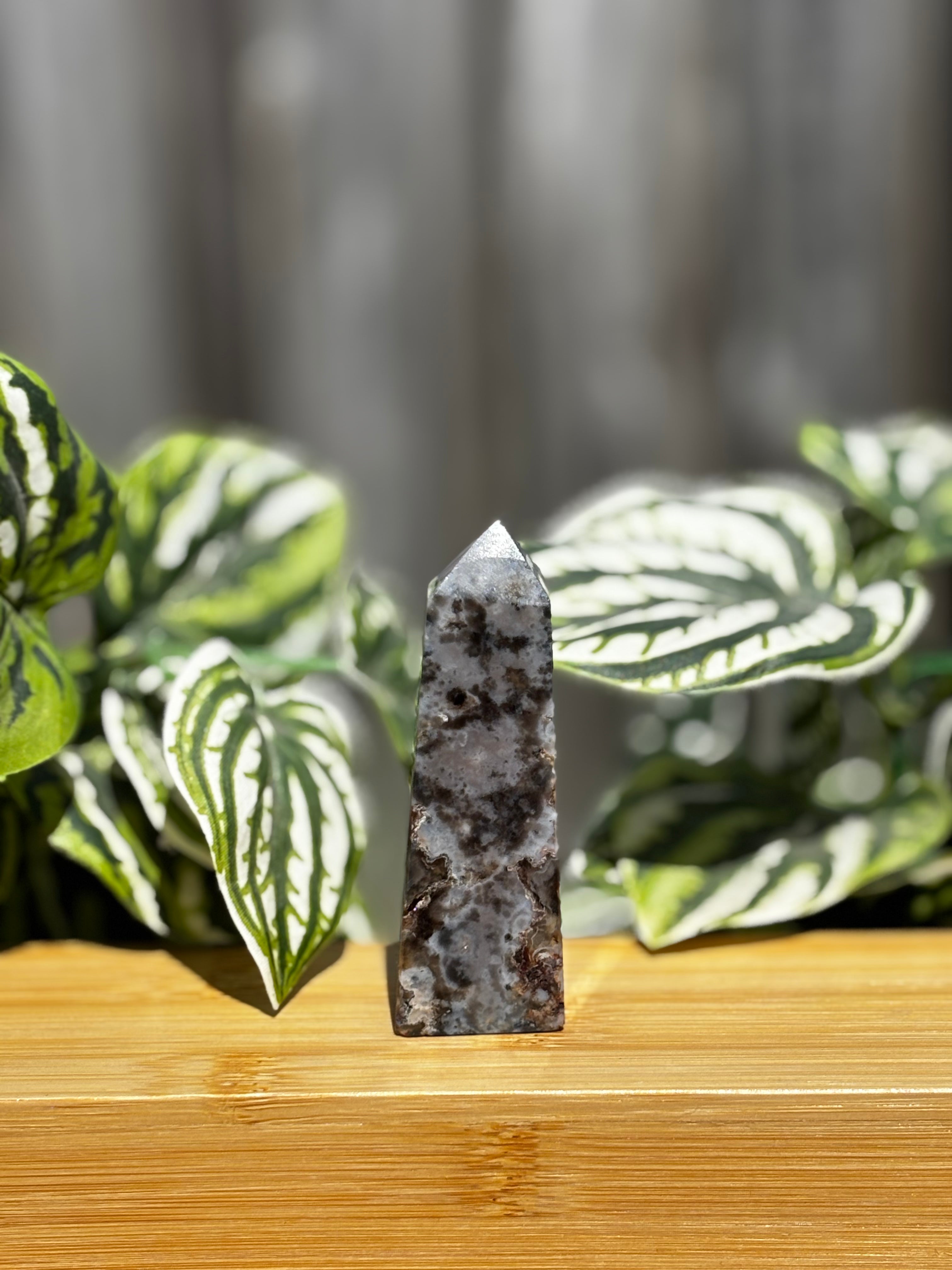 Dendritic Agate Point