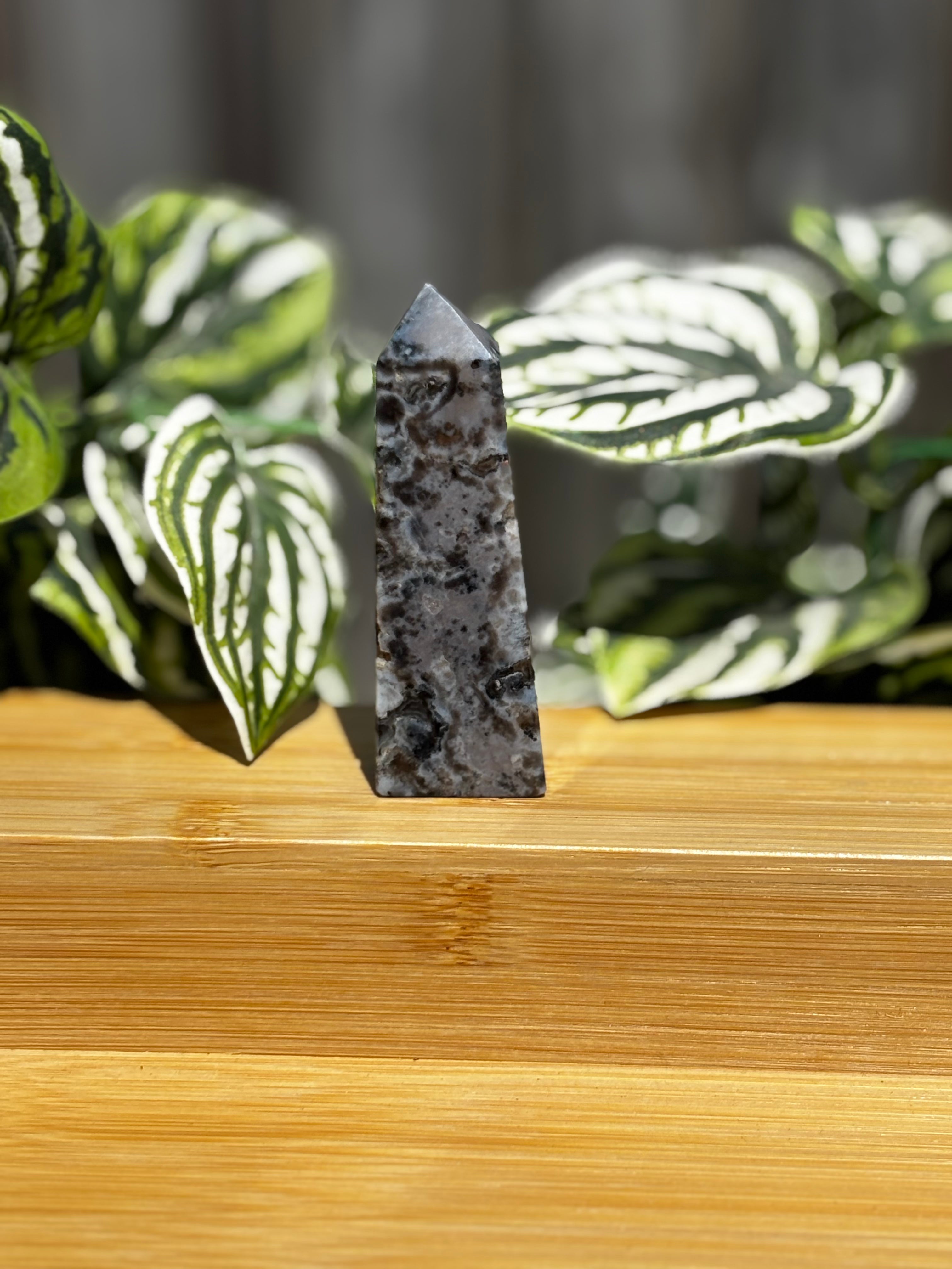 Dendritic Agate Point