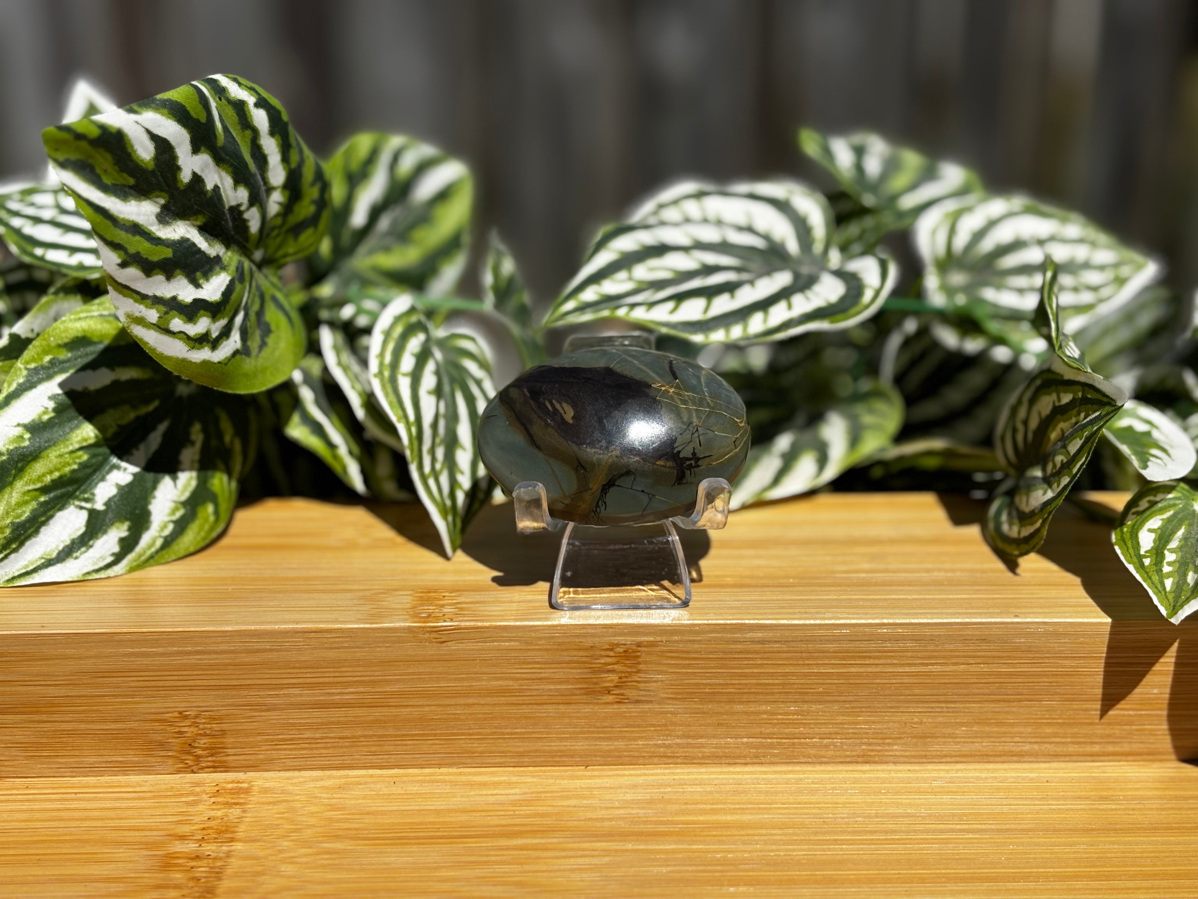 Septarian Palm Stone