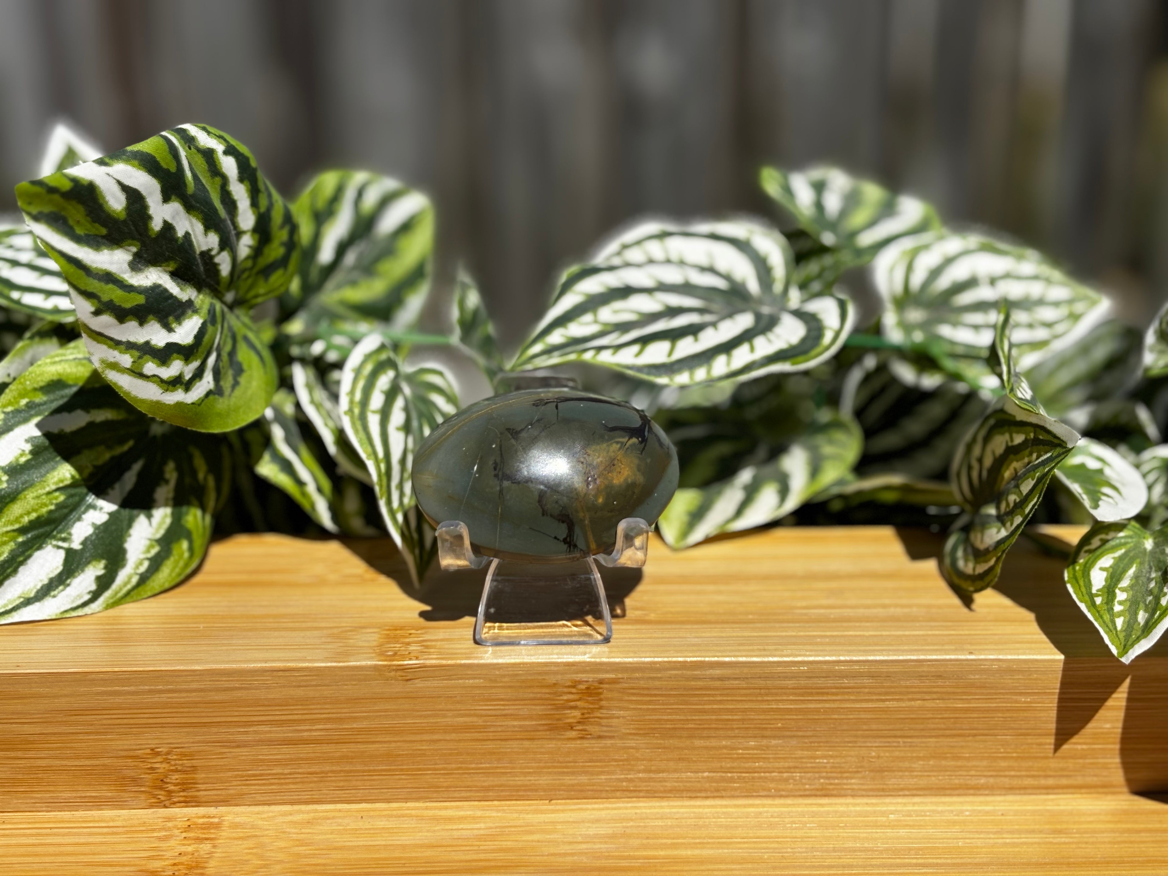 Septarian Palm Stone