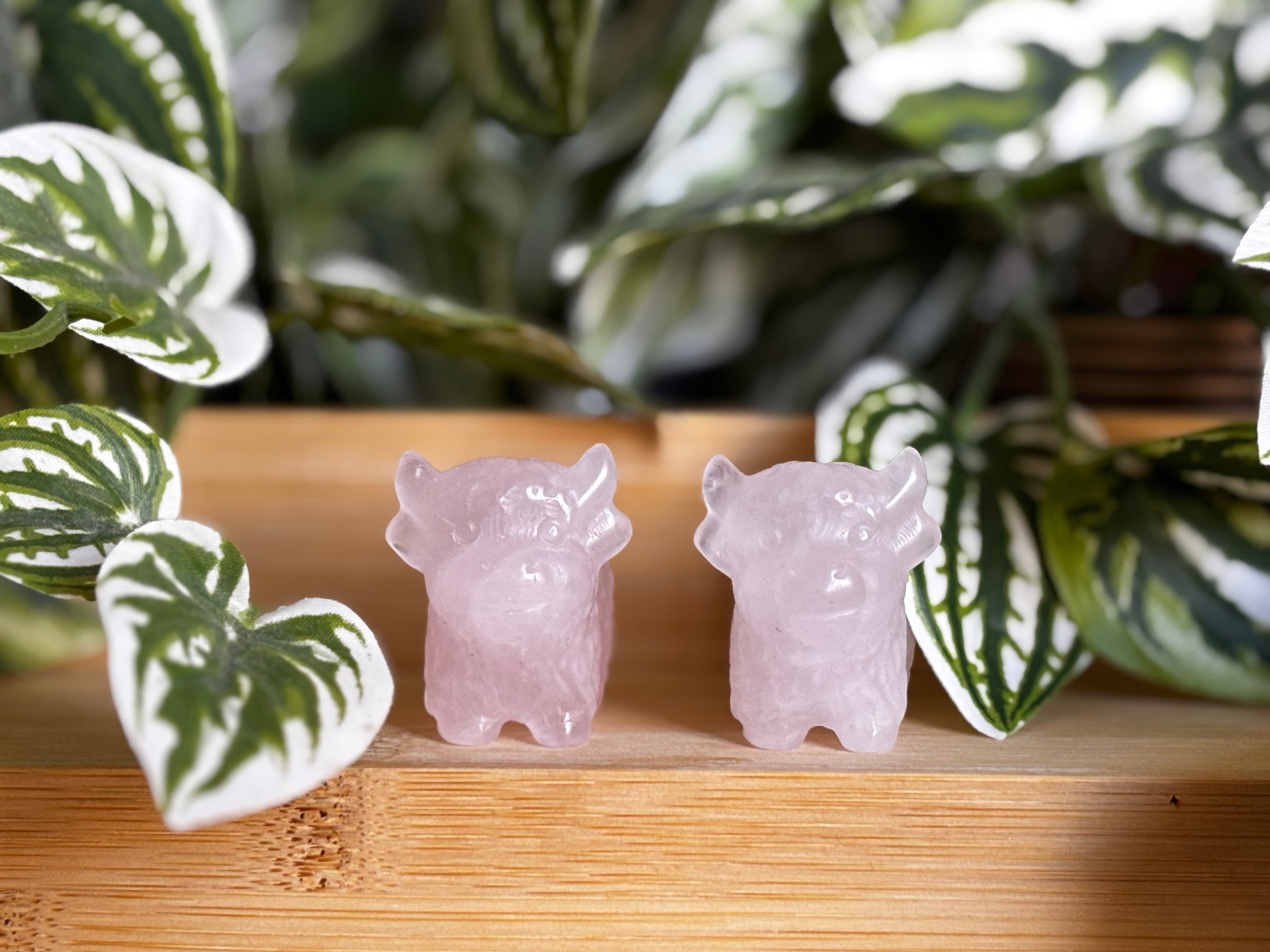 Highland Cow - Rose Quartz