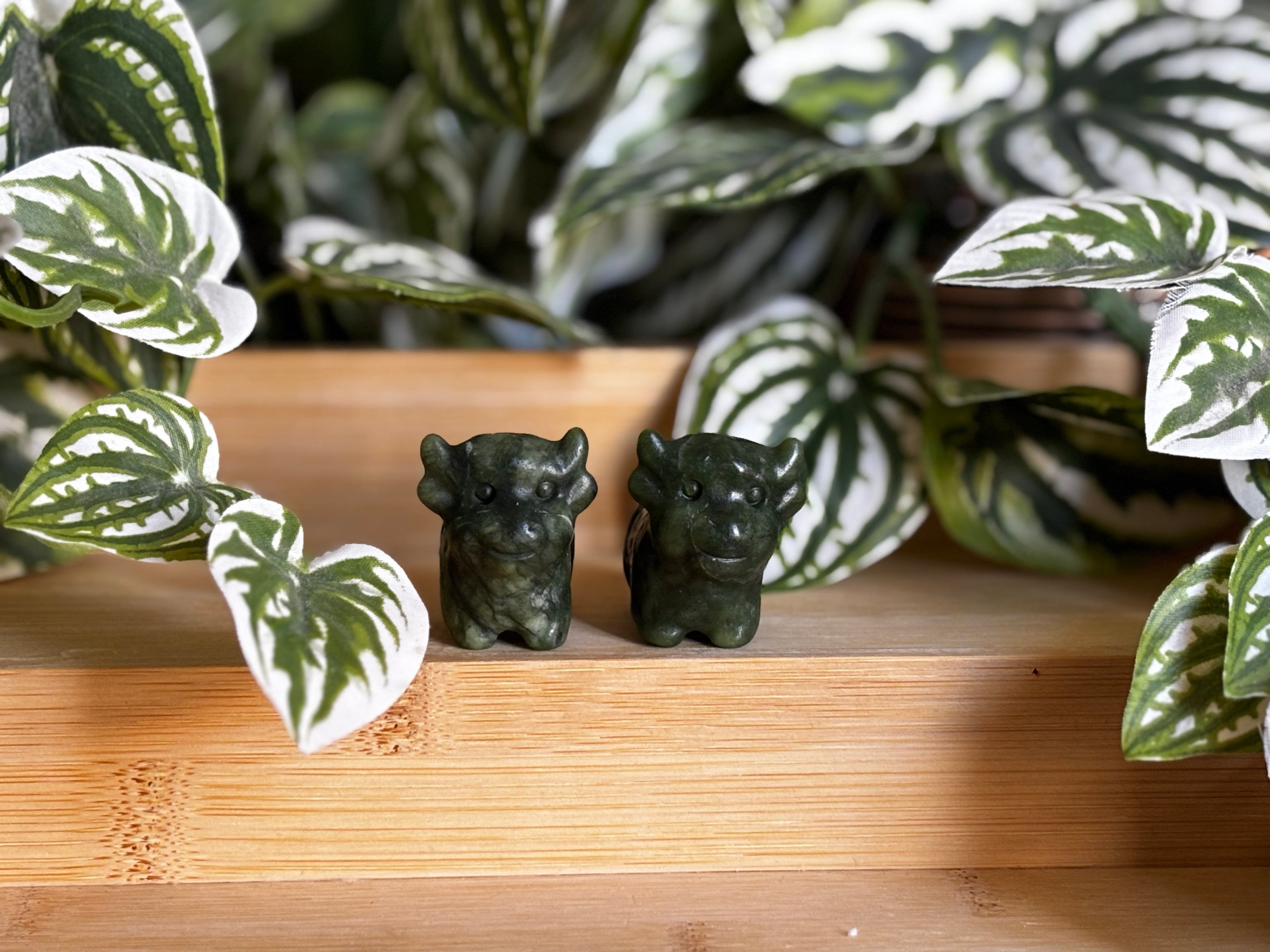 Highland Cow - Green Jade