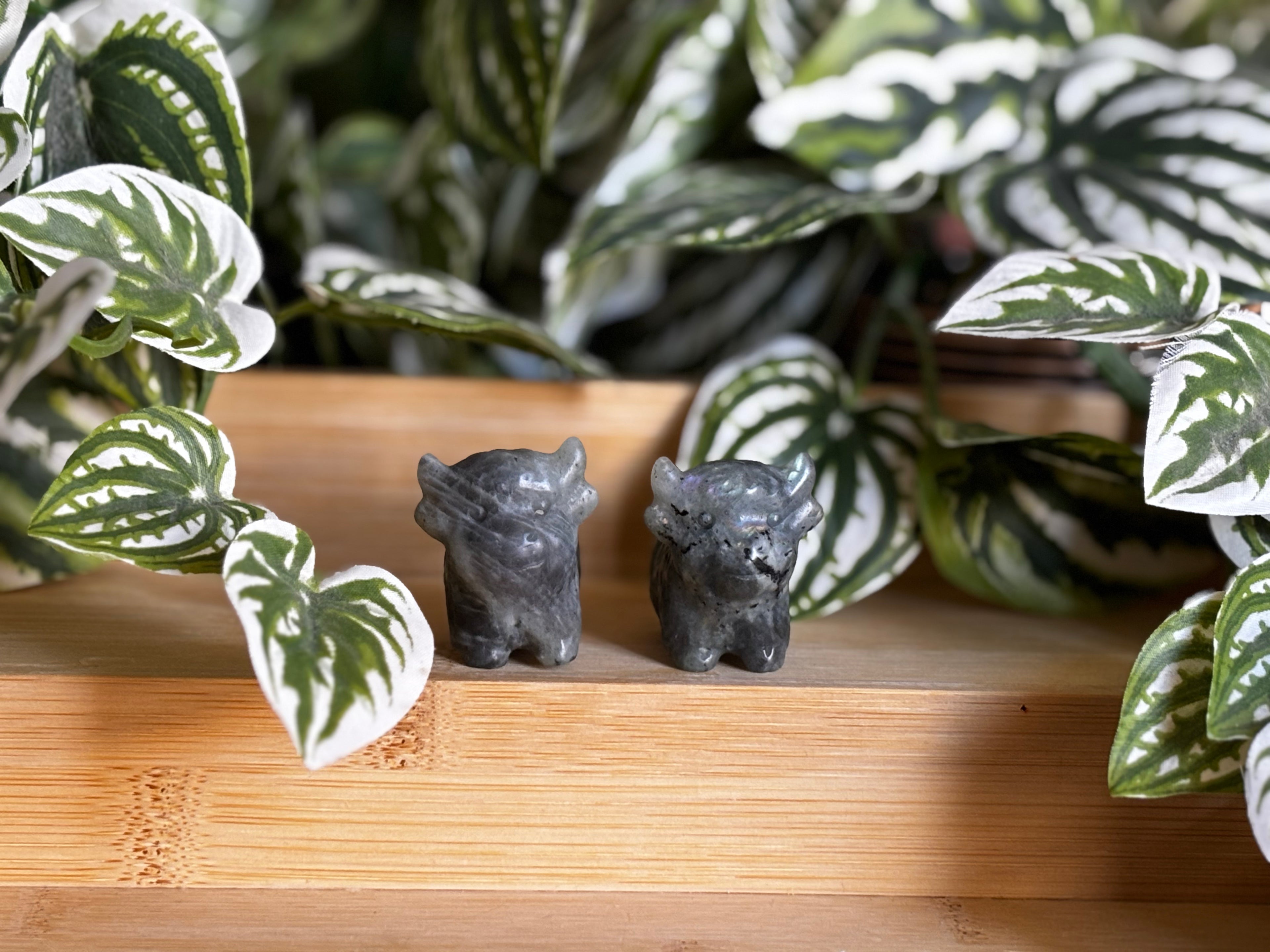 Highland Cow - Labradorite