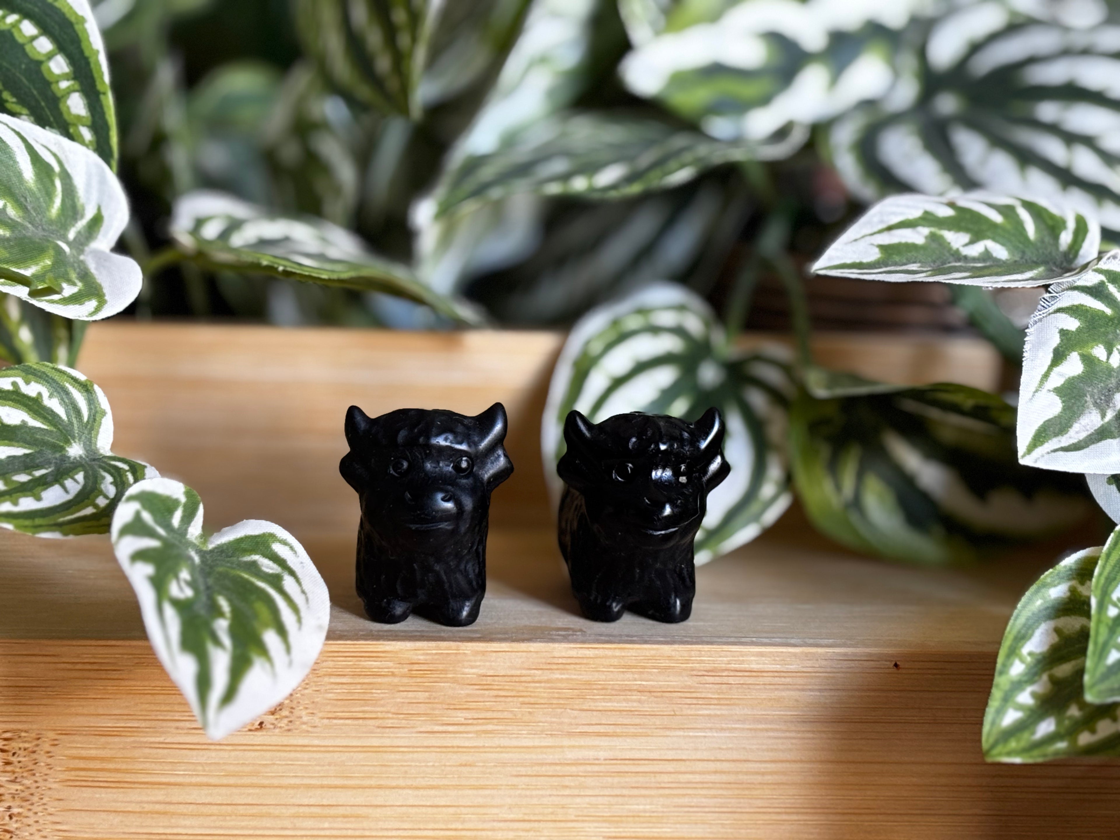 Highland Cow - Black Obsidian